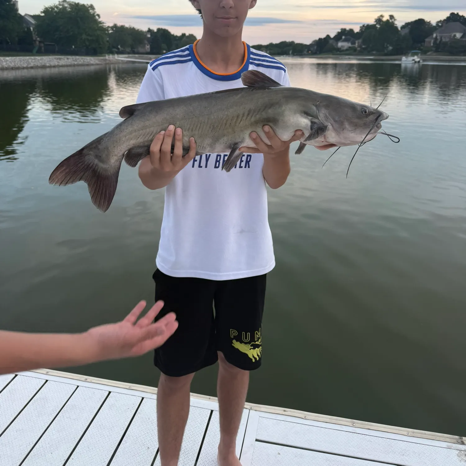 Channel catfish caught on Fishbrain