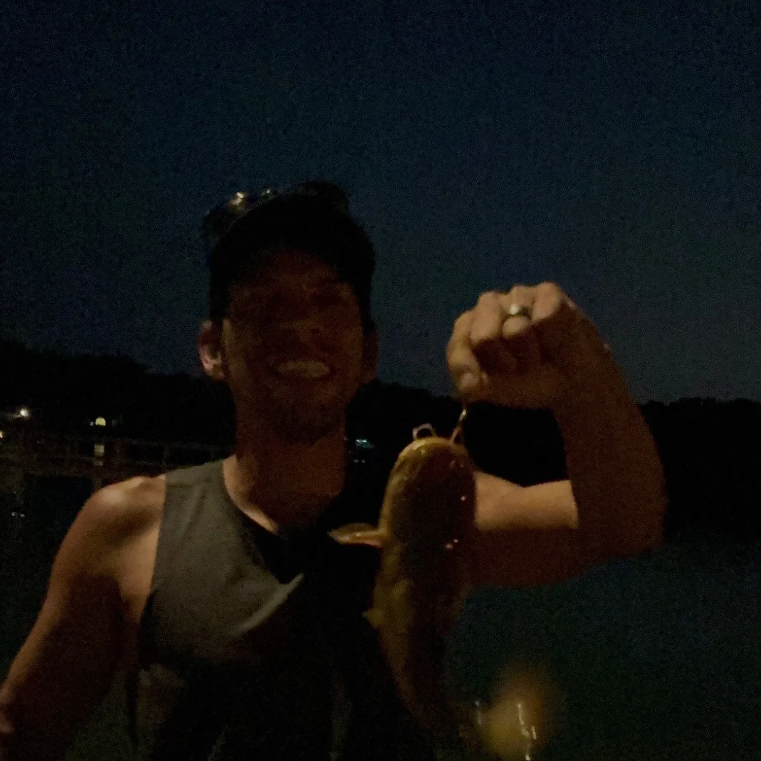 Yellow bullhead caught on Fishbrain