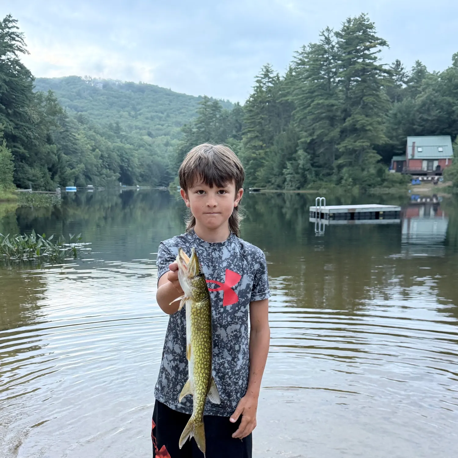 Chain pickerel caught on Fishbrain