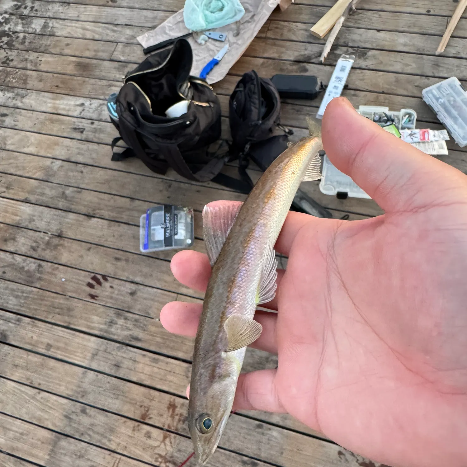 catch