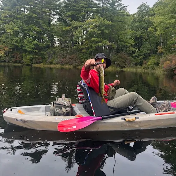 Chain pickerel caught on Fishbrain
