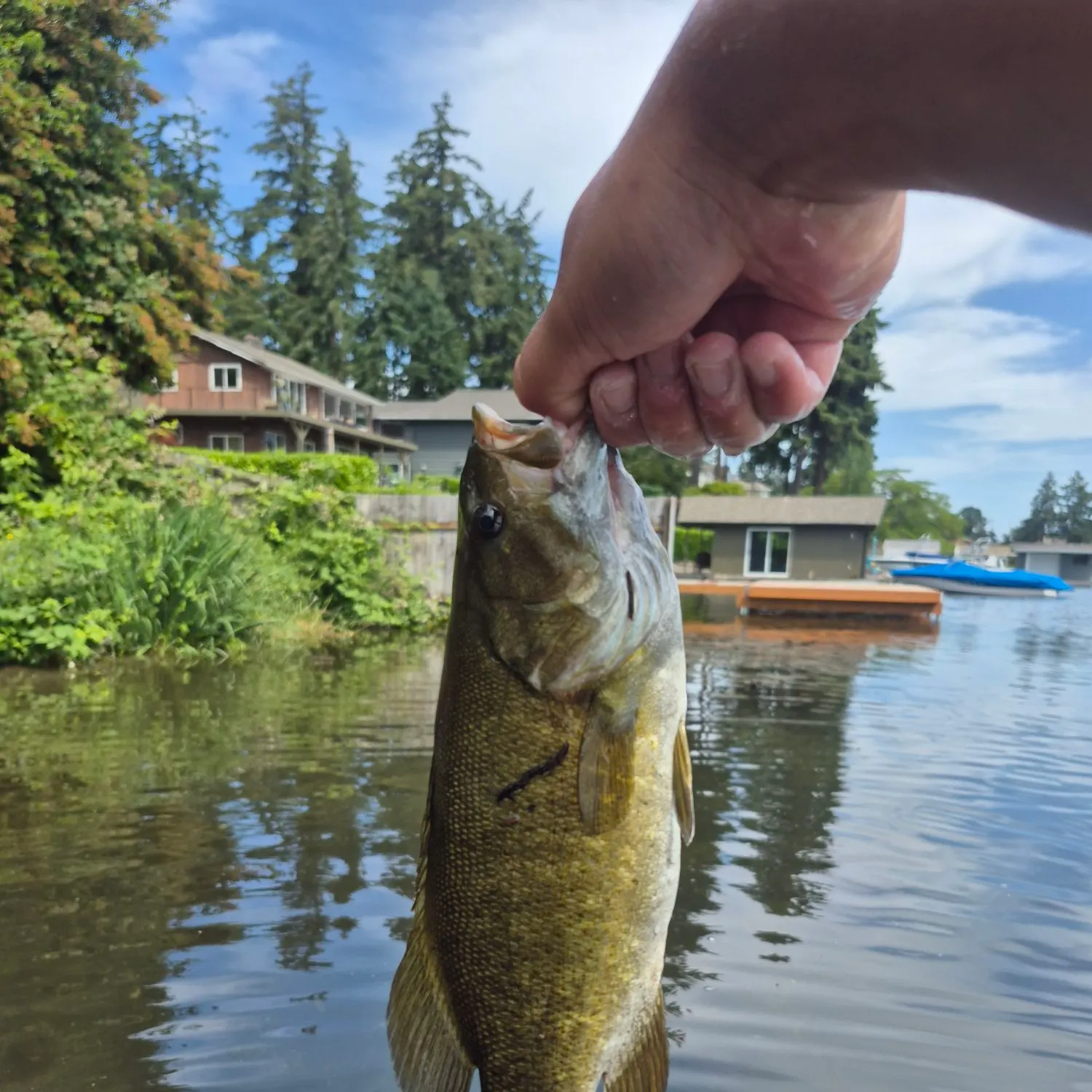 catch