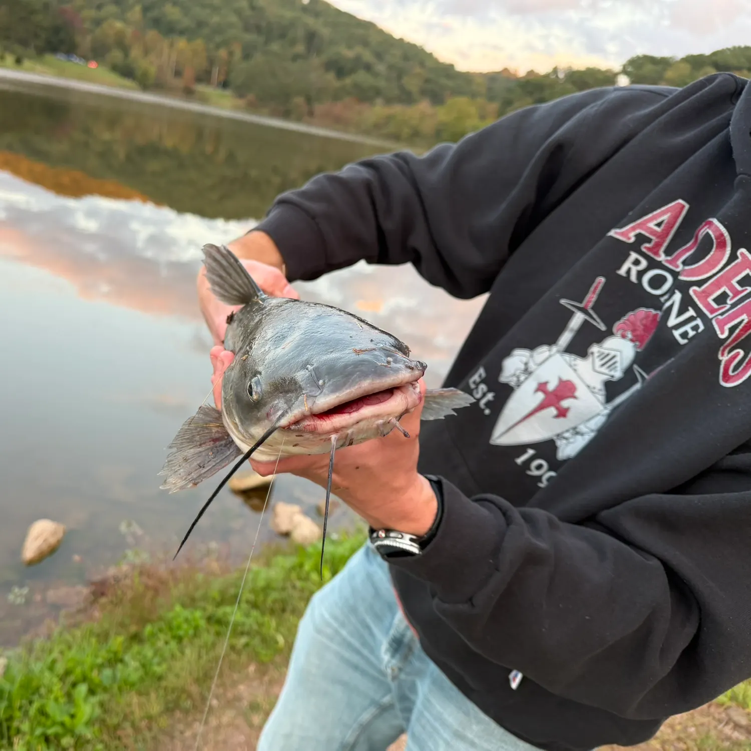 Channel catfish caught on Fishbrain