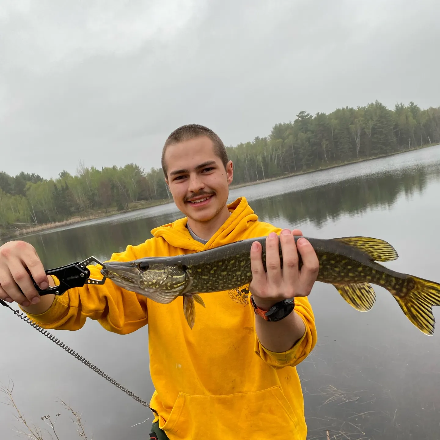 Northern pike caught on Fishbrain