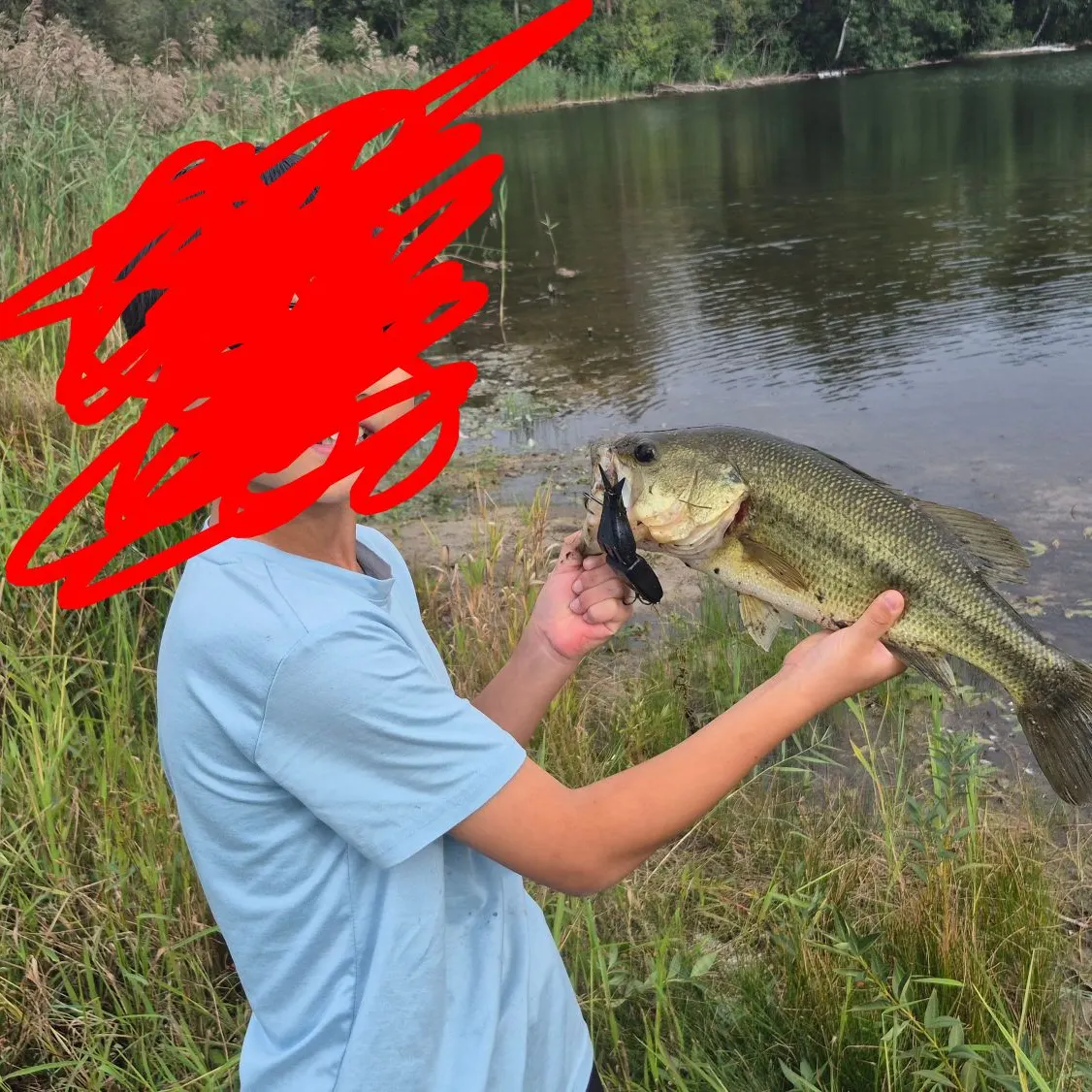 Largemouth bass caught on Fishbrain