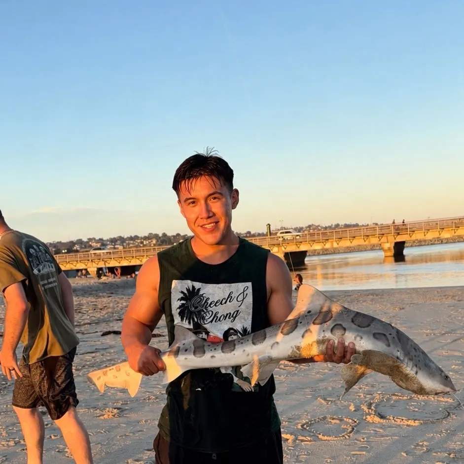 Leopard shark caught on Fishbrain