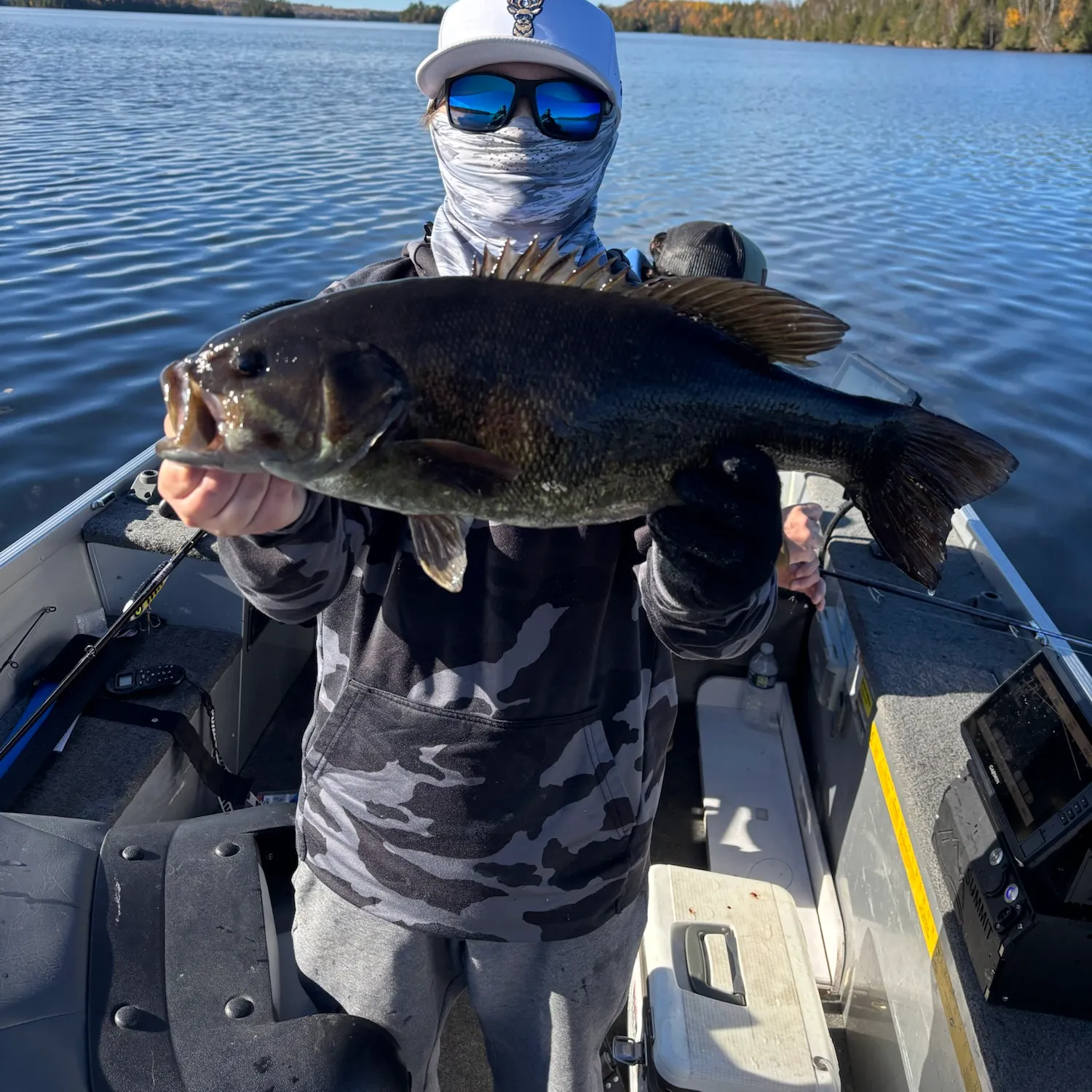 Smallmouth bass caught on Fishbrain