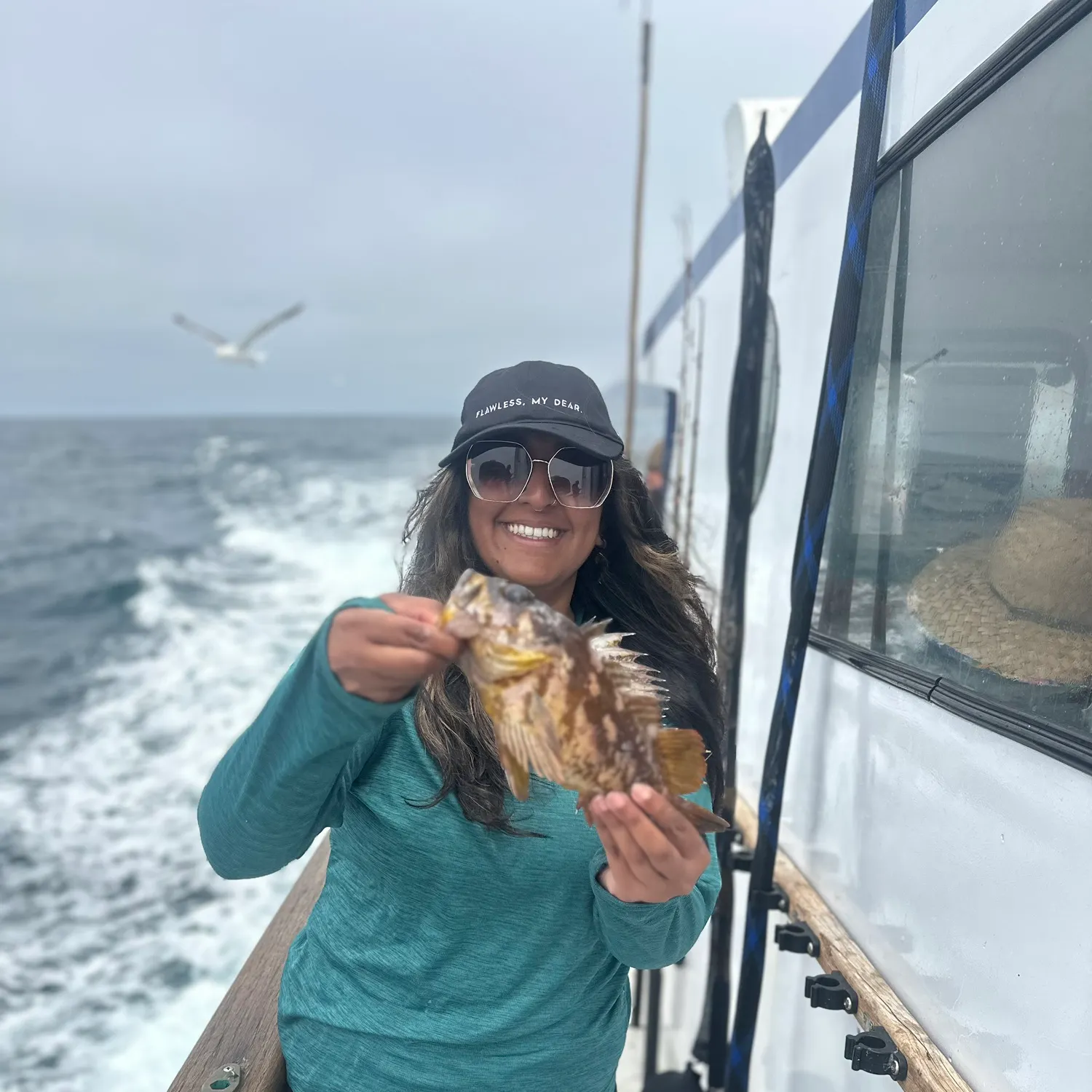 The most recent Gopher rockfish catches on Fishbrain