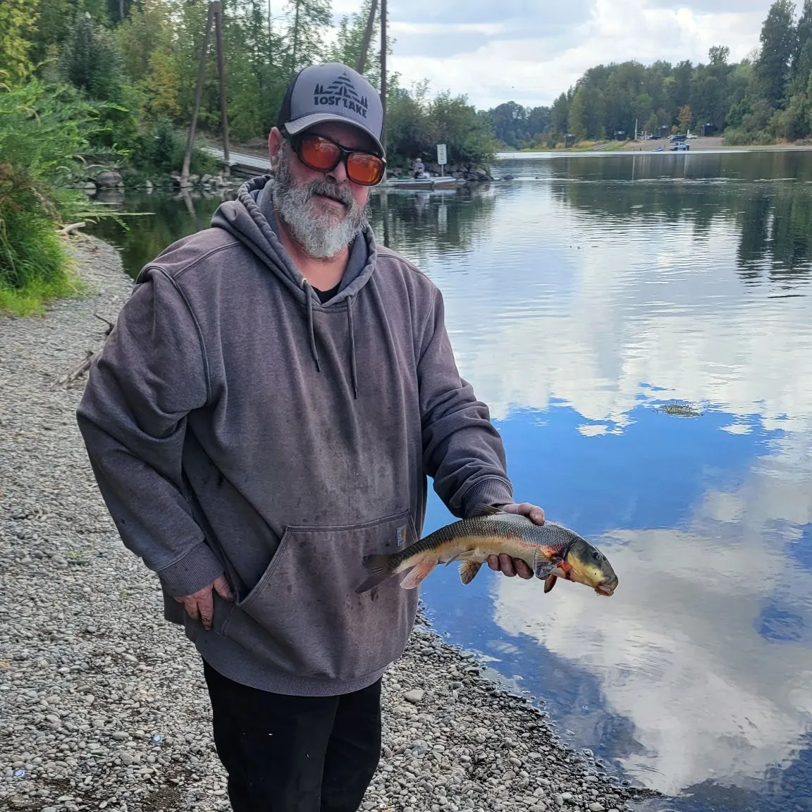 The most recent Largescale sucker catches on Fishbrain