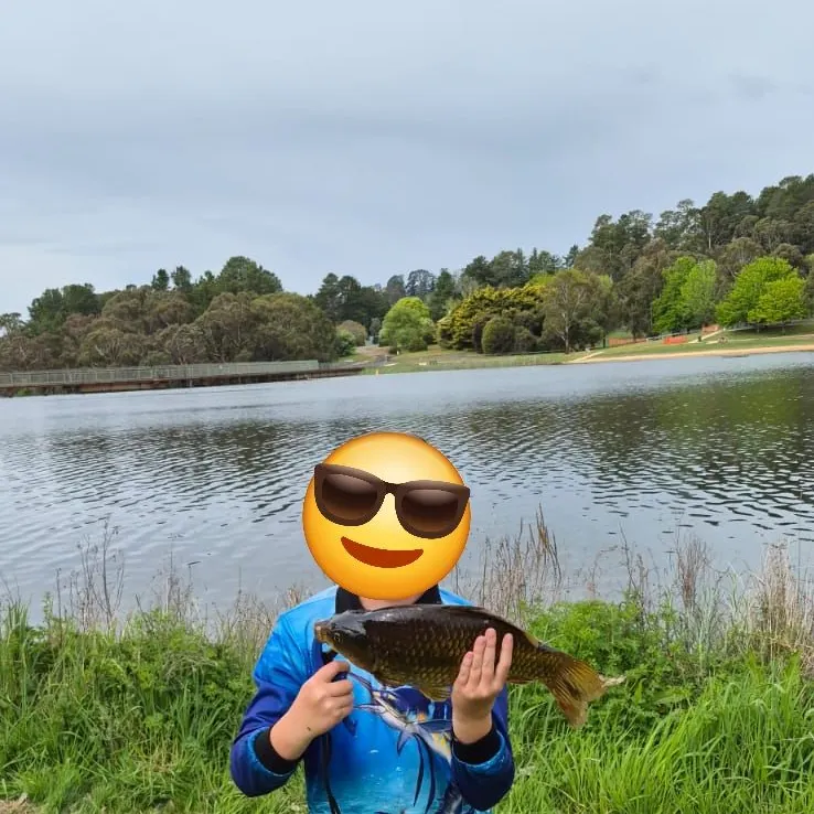 Common carp caught on Fishbrain