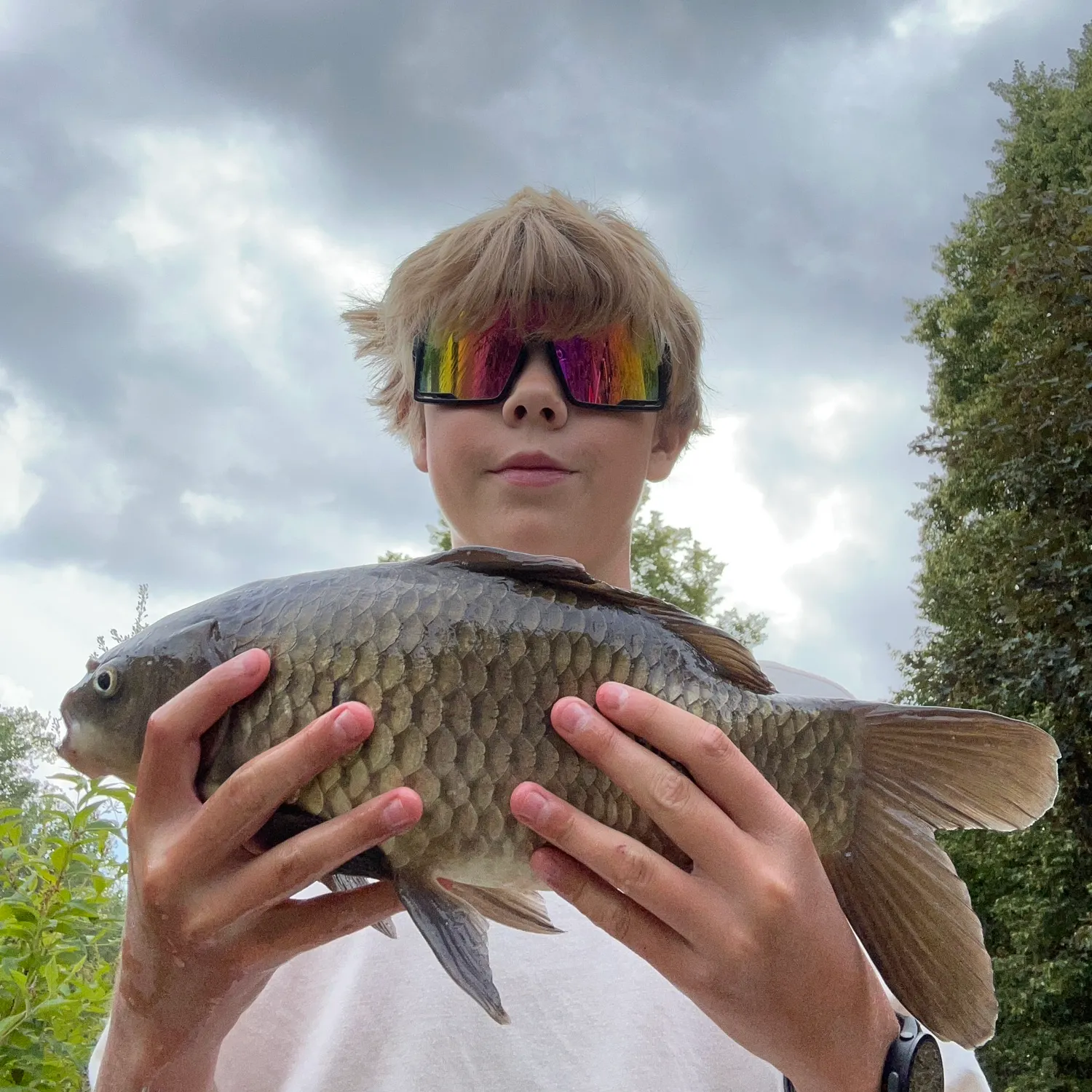 Common carp caught on Fishbrain