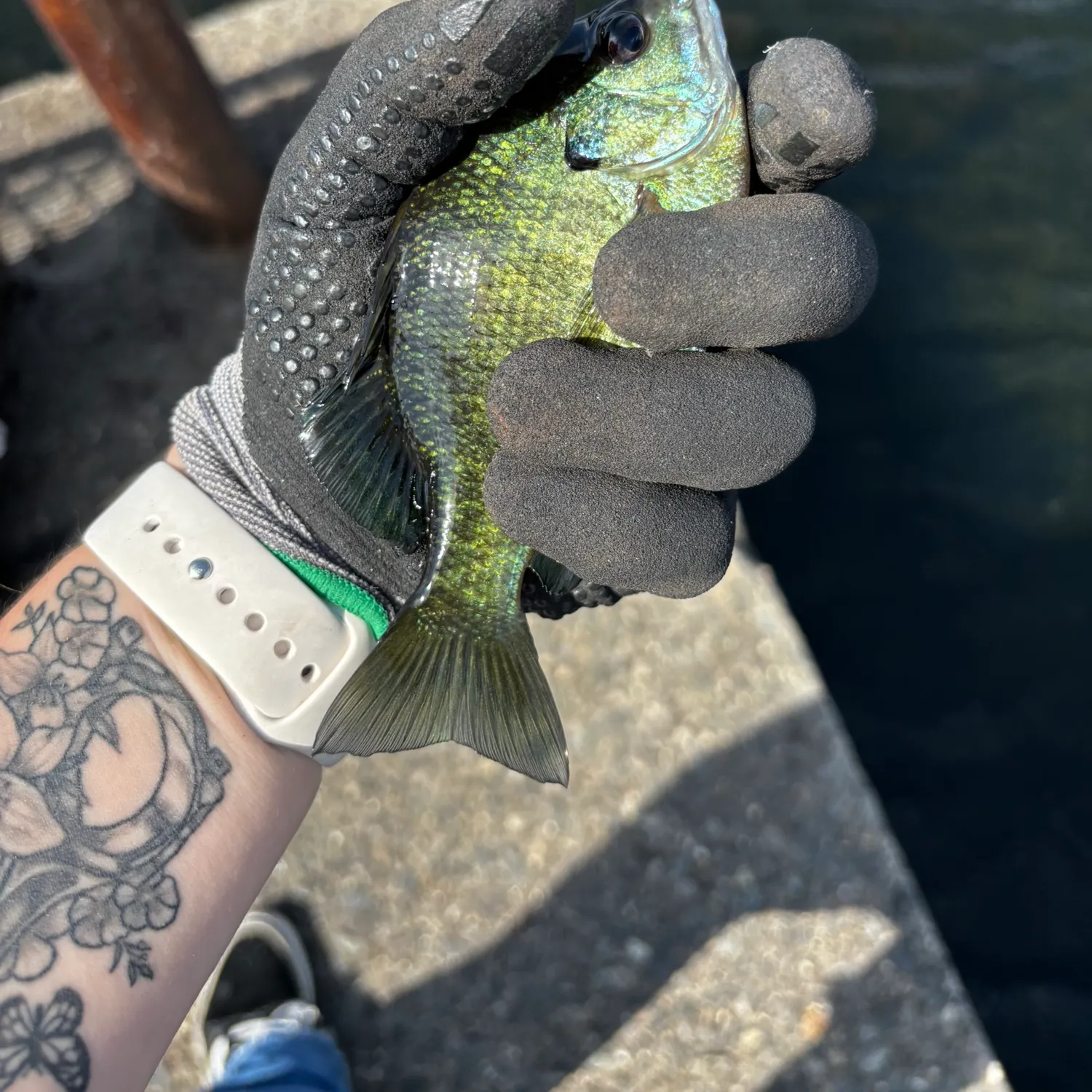 catch