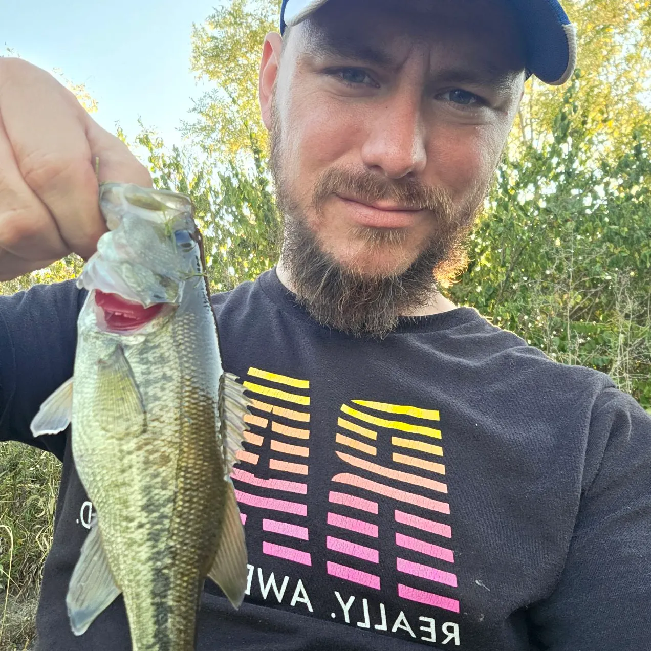 Largemouth bass caught on Fishbrain