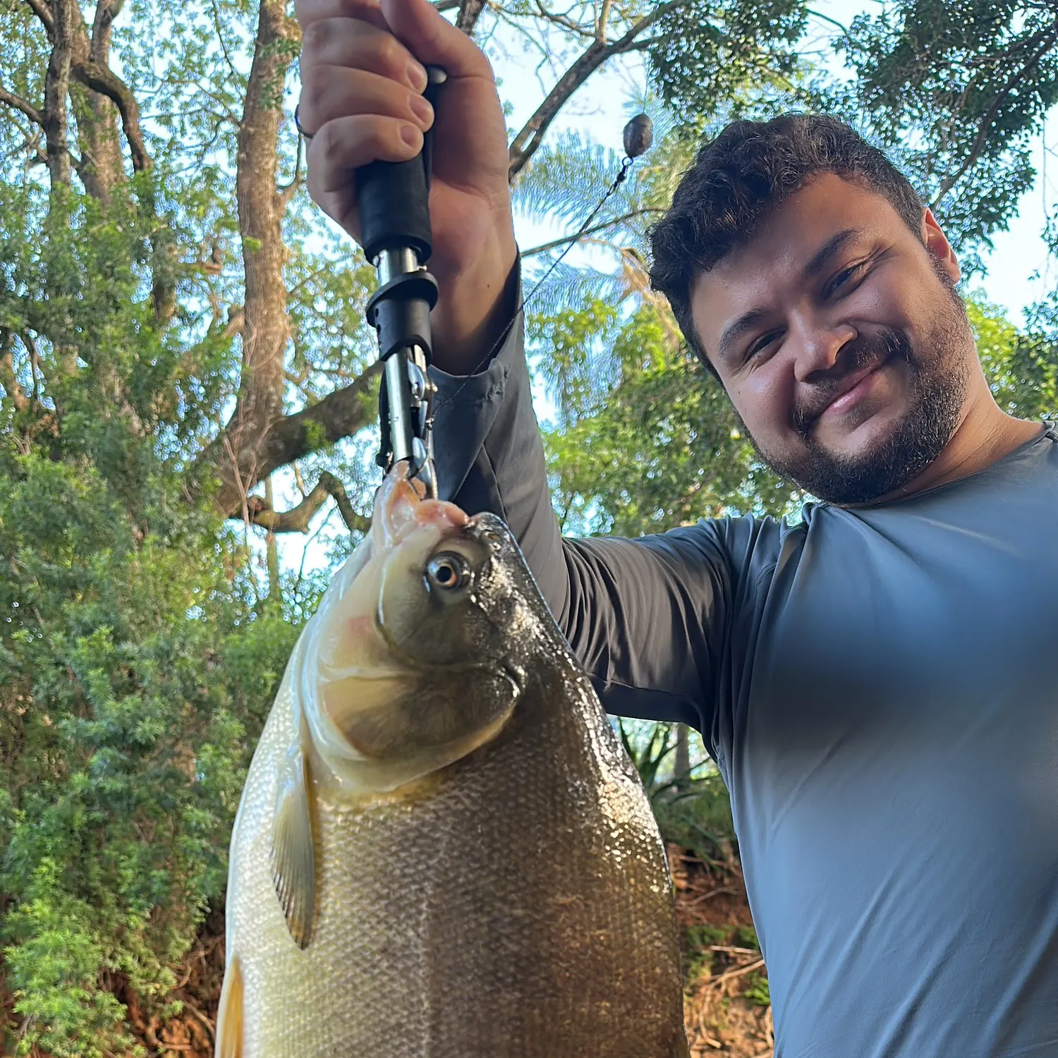 The most recent Small-scaled pacu catches on Fishbrain