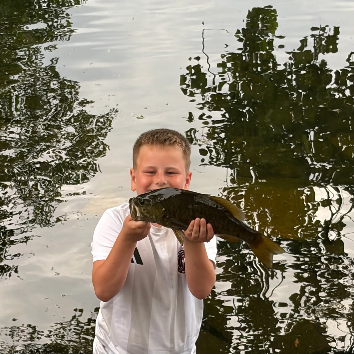 Smallmouth bass caught on Fishbrain