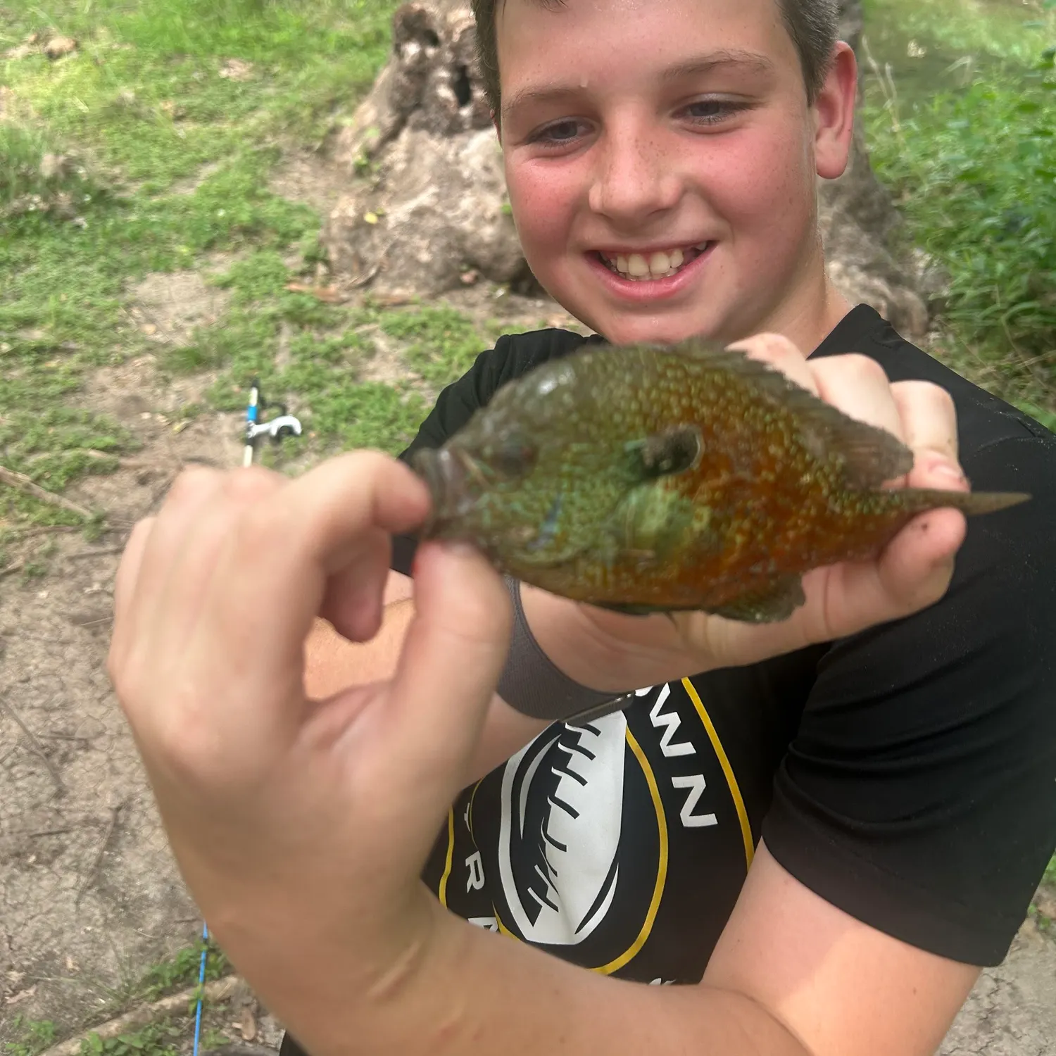 The most recent Plains longear sunfish catches on Fishbrain
