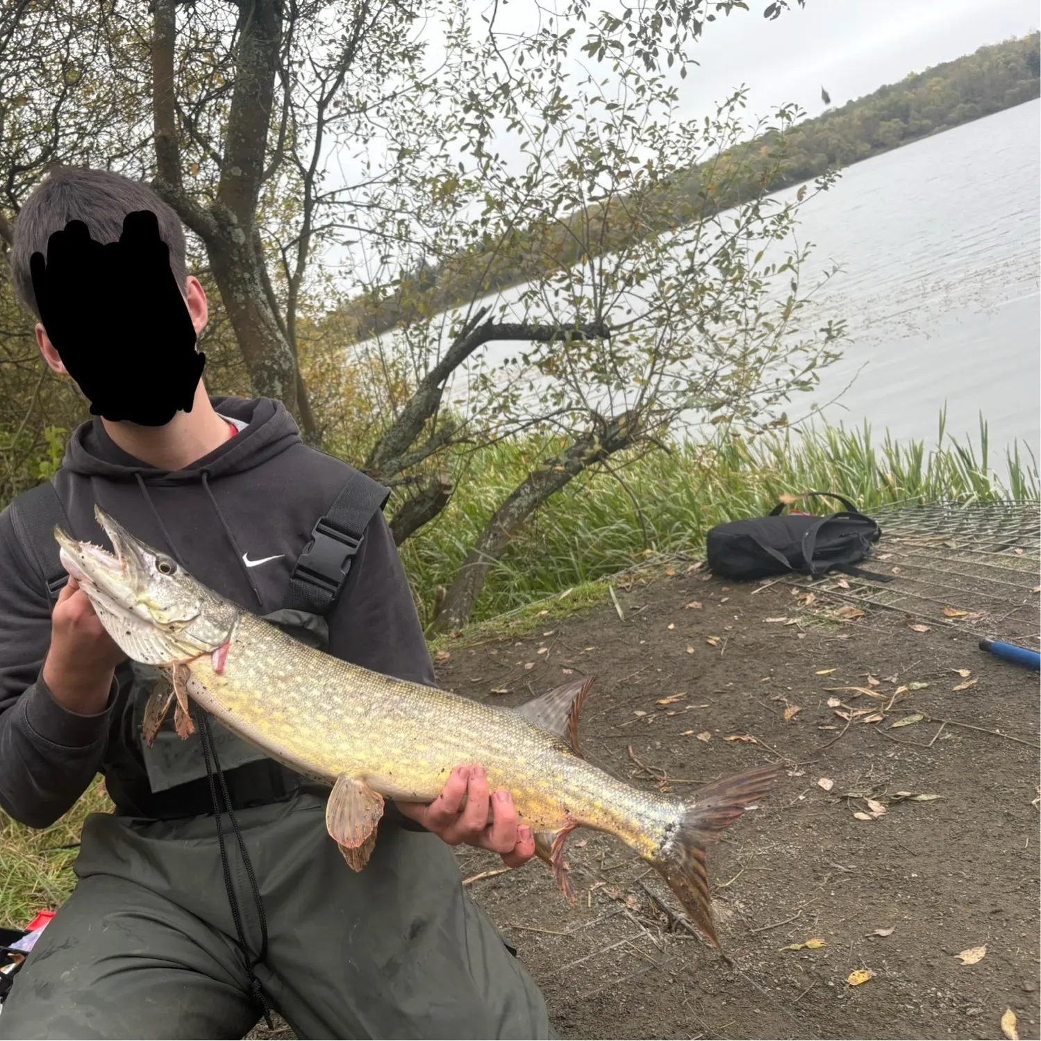 Northern pike caught on Fishbrain