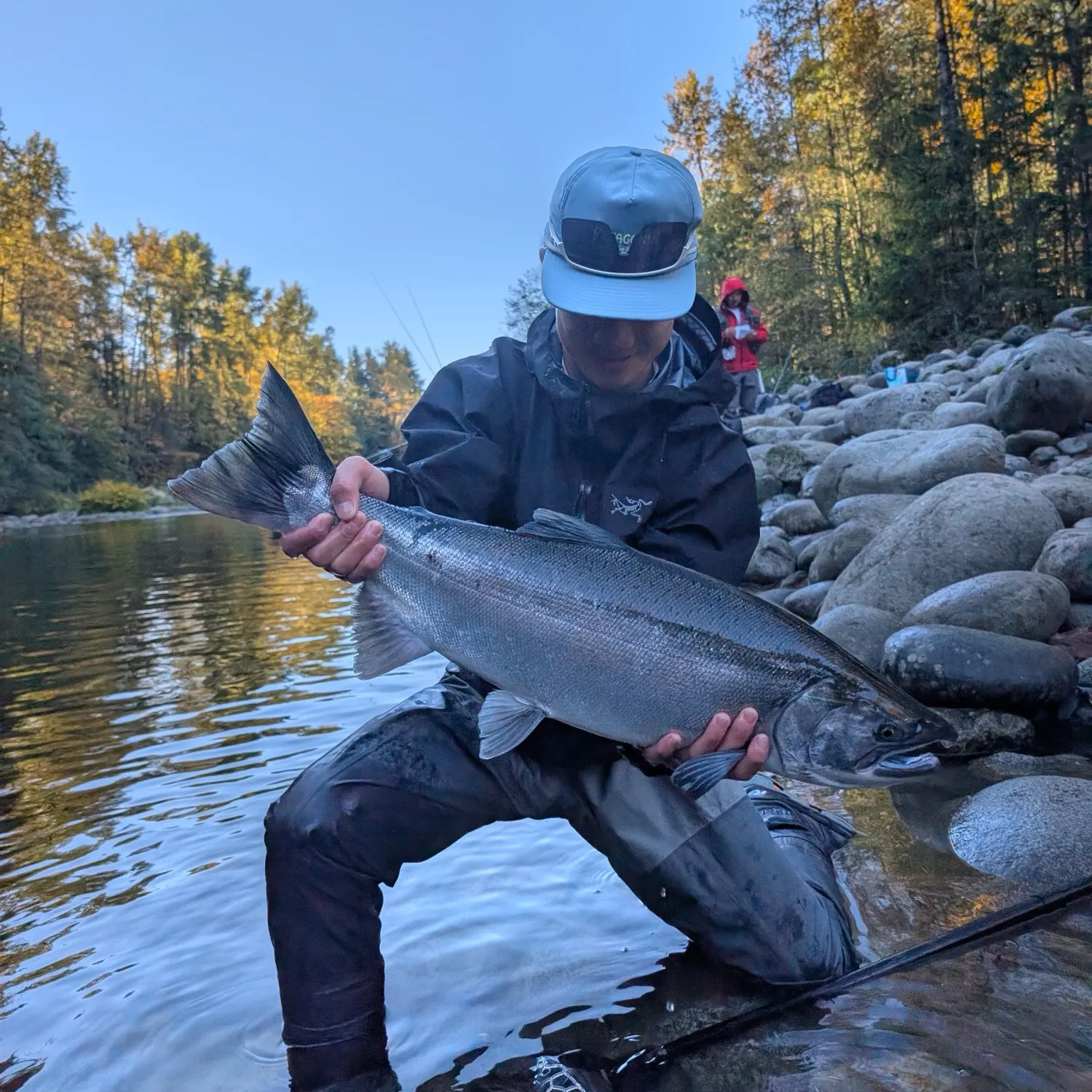 Coho salmon caught on Fishbrain