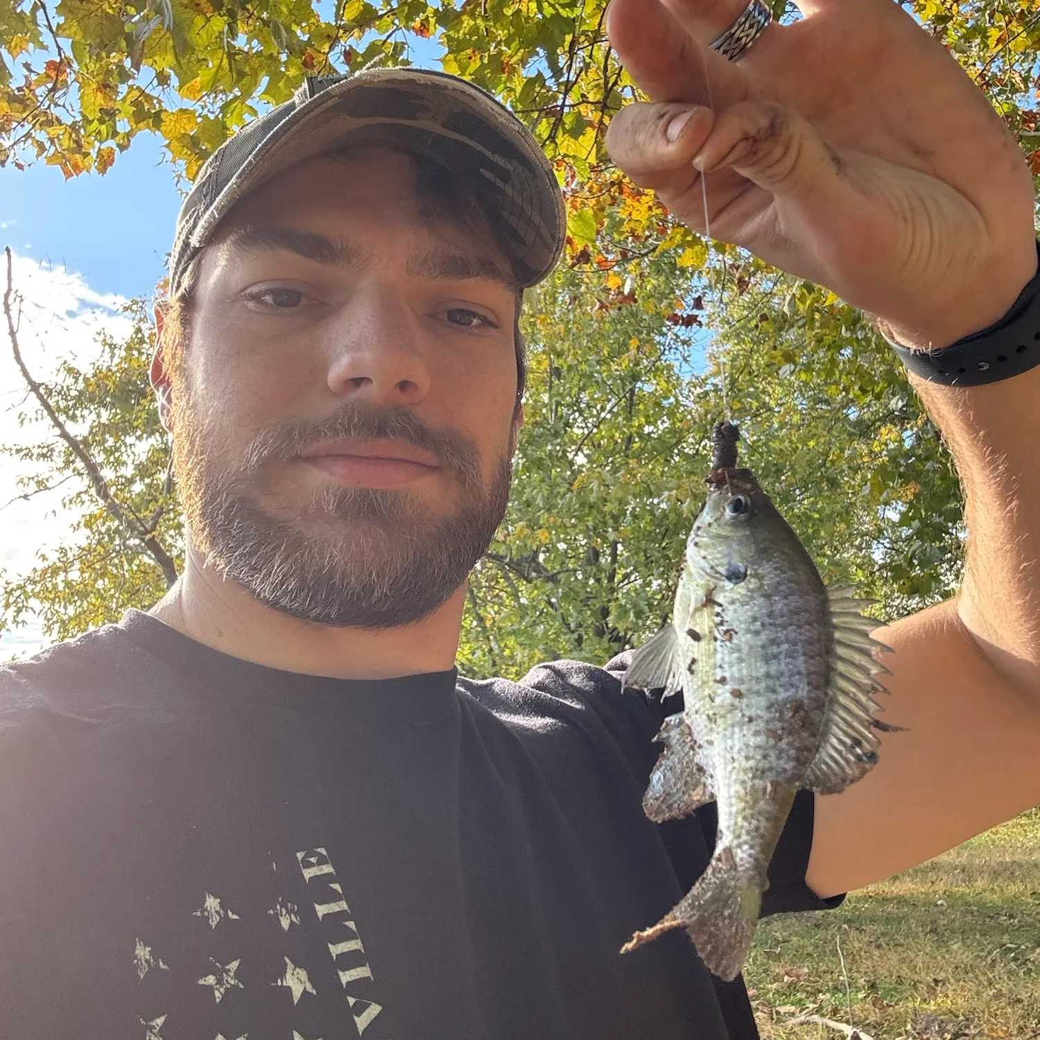 White crappie caught on Fishbrain