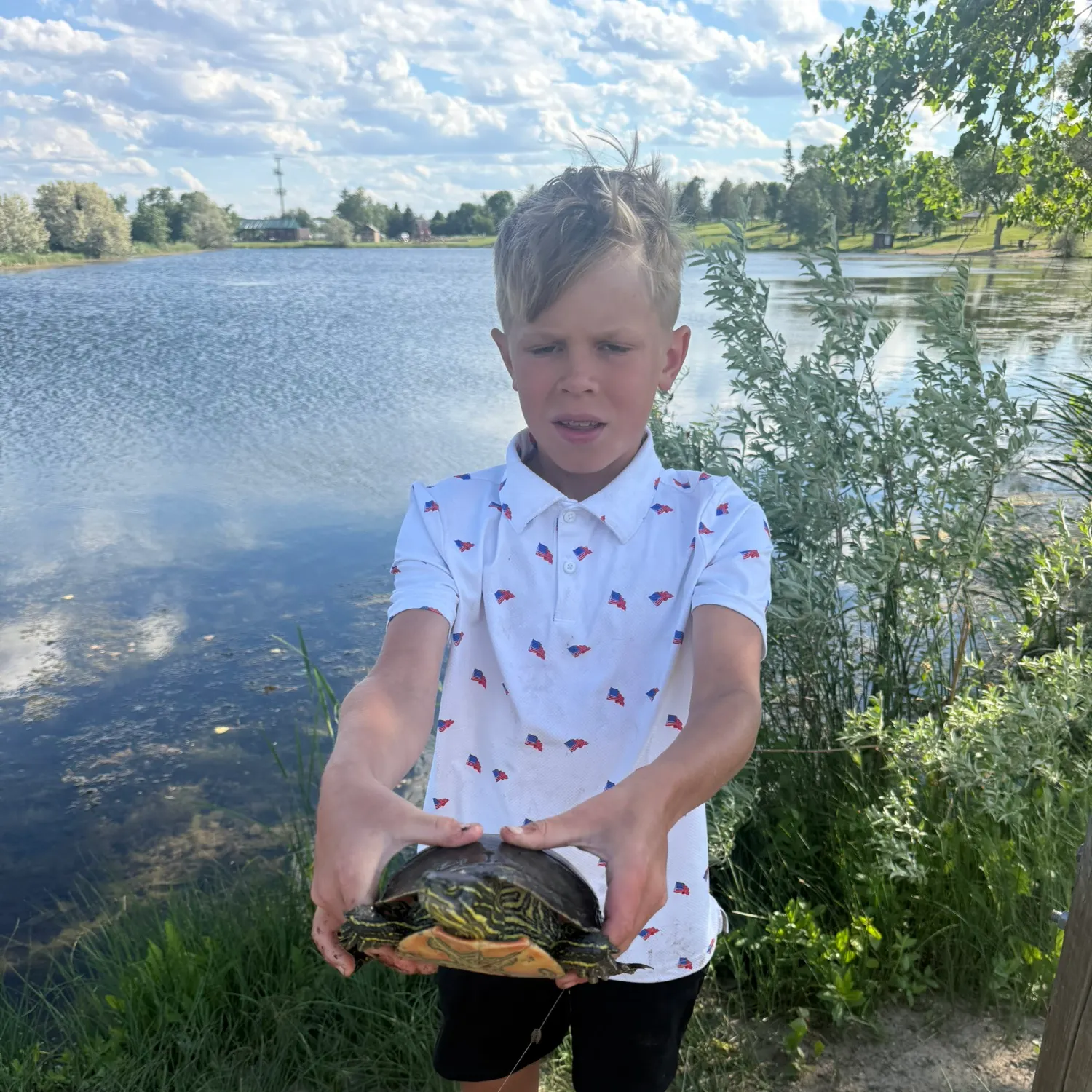The most recent Painted turtle catches on Fishbrain
