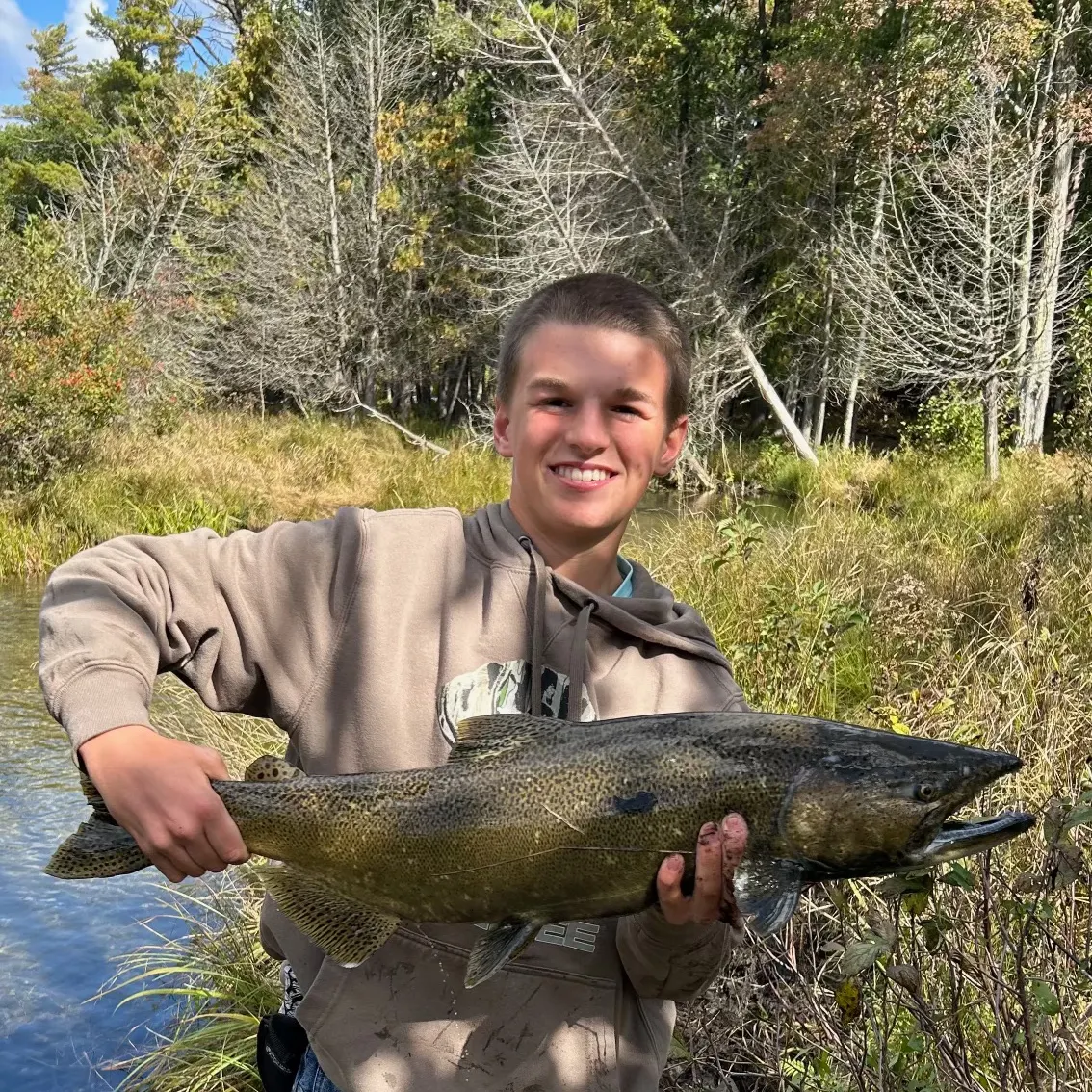 Chinook salmon caught on Fishbrain