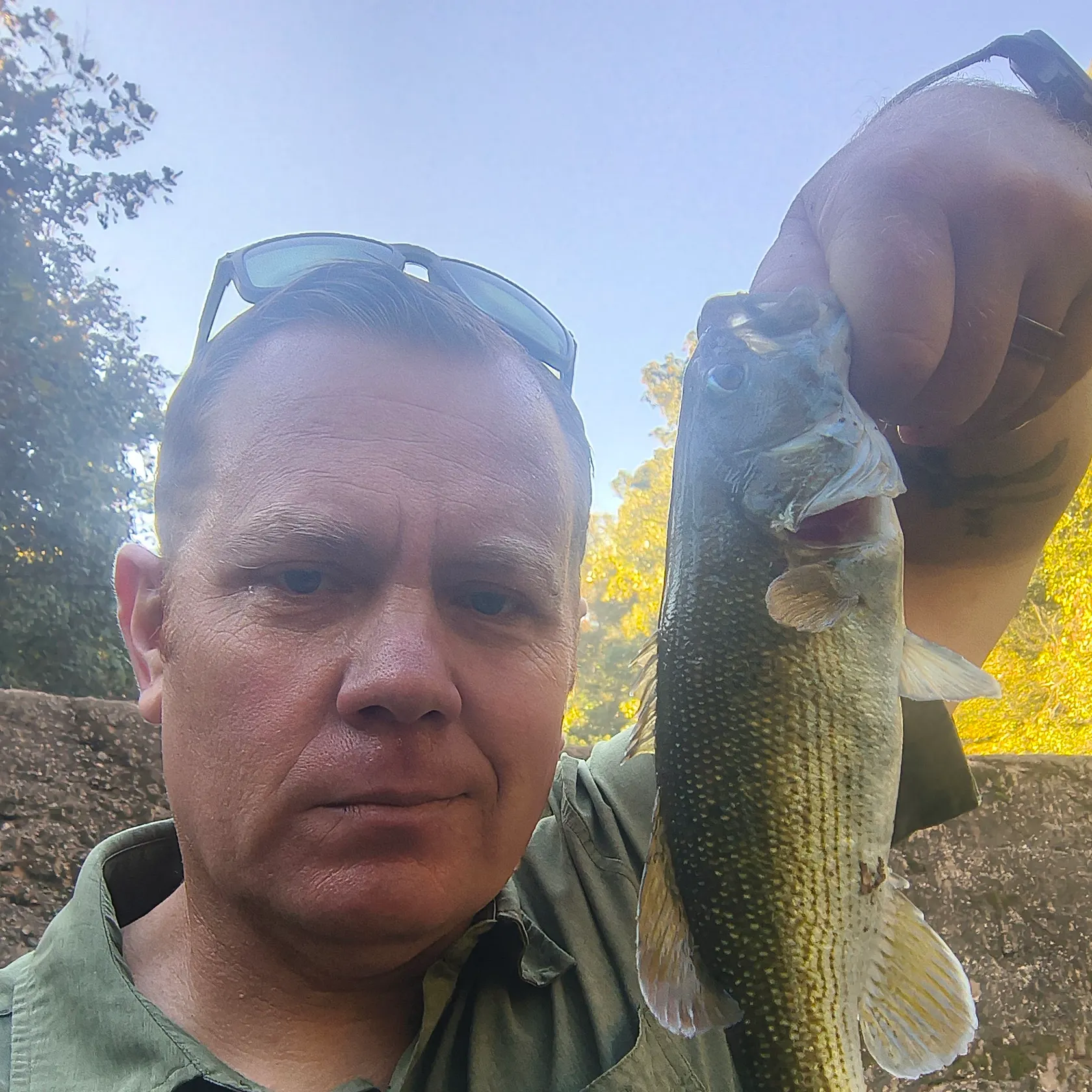Redeye bass caught on Fishbrain