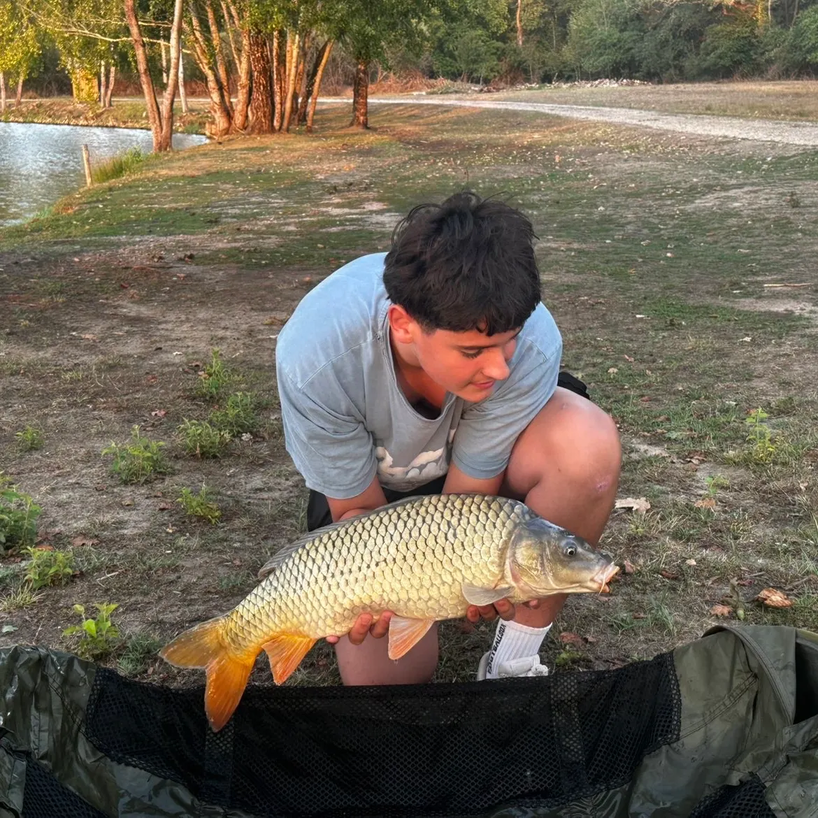 Common carp caught on Fishbrain