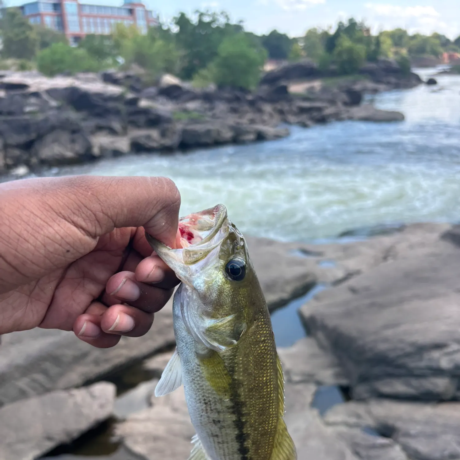 catch