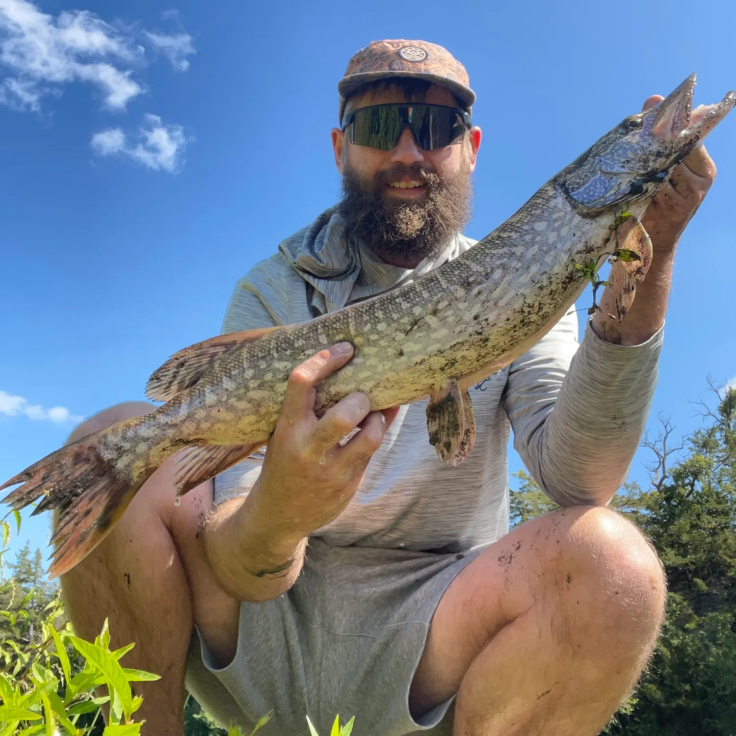 Northern pike caught on Fishbrain