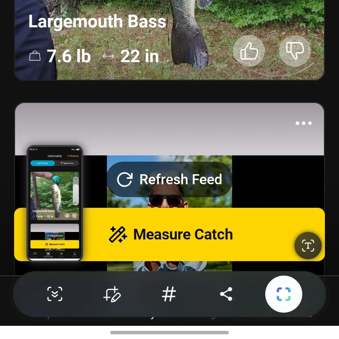 recently logged catches