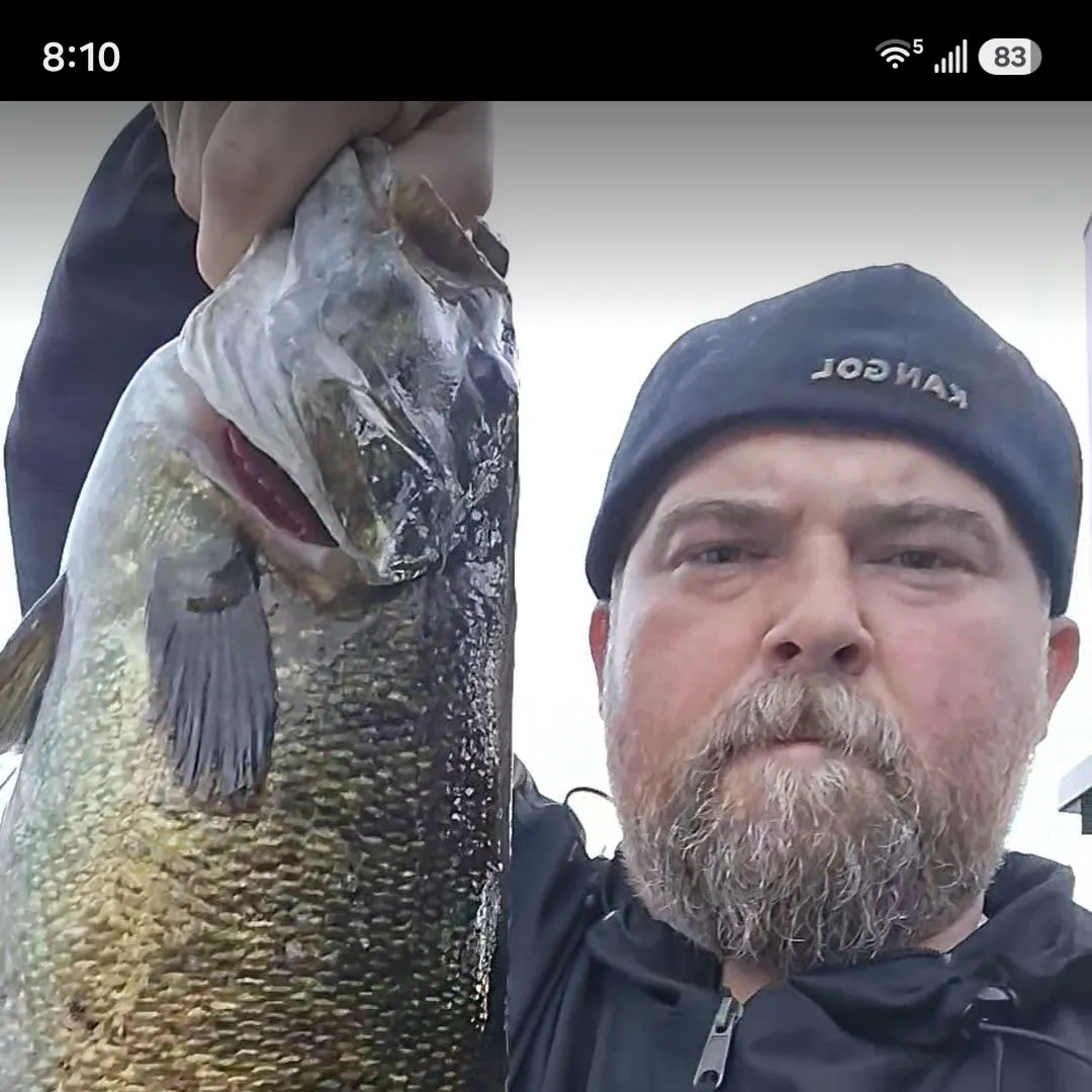 Smallmouth bass caught on Fishbrain