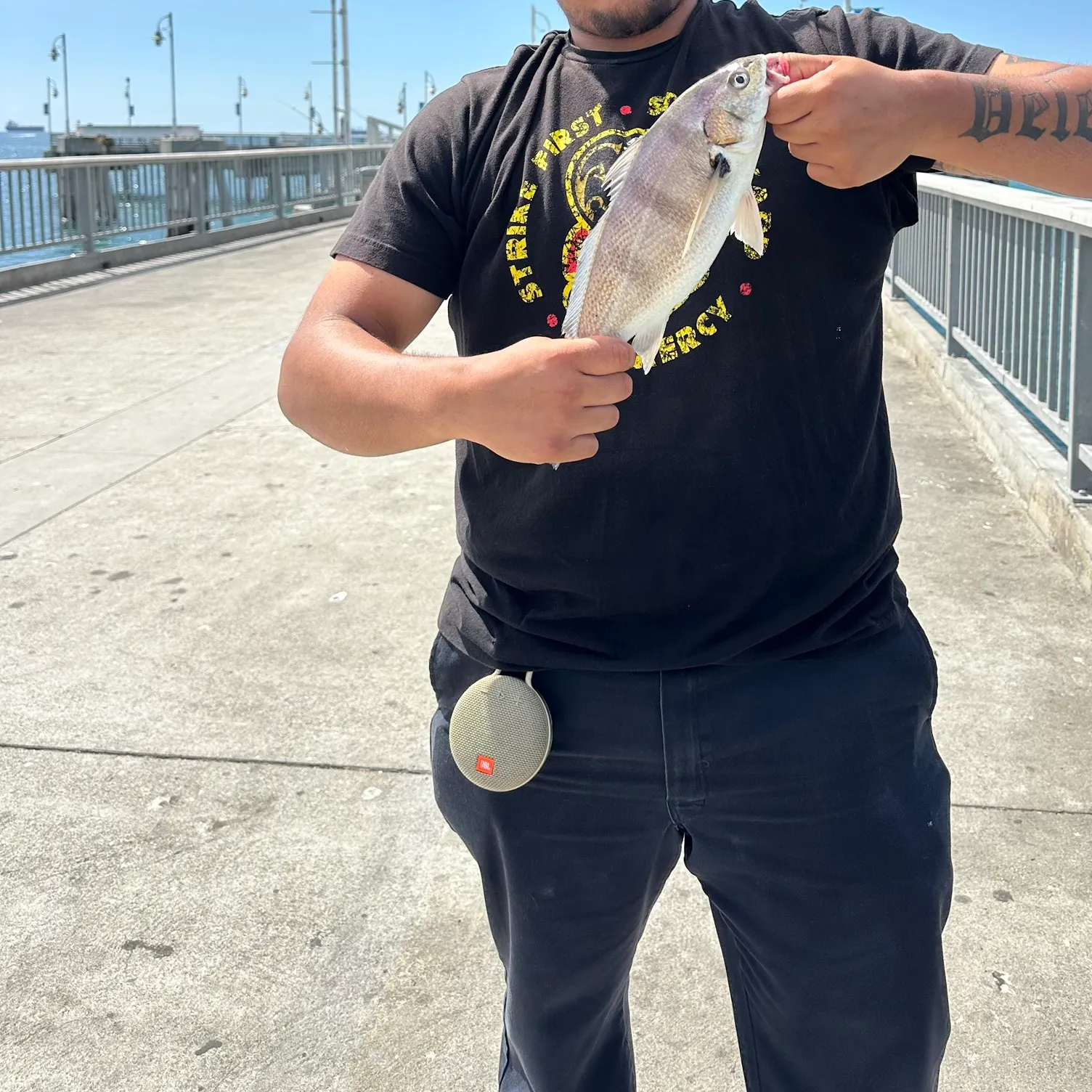 The most recent Spotfin croaker catches on Fishbrain
