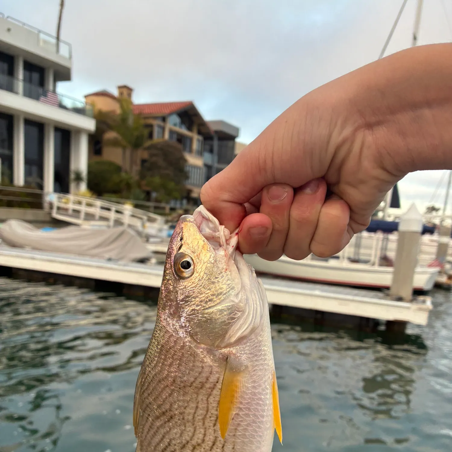 catch