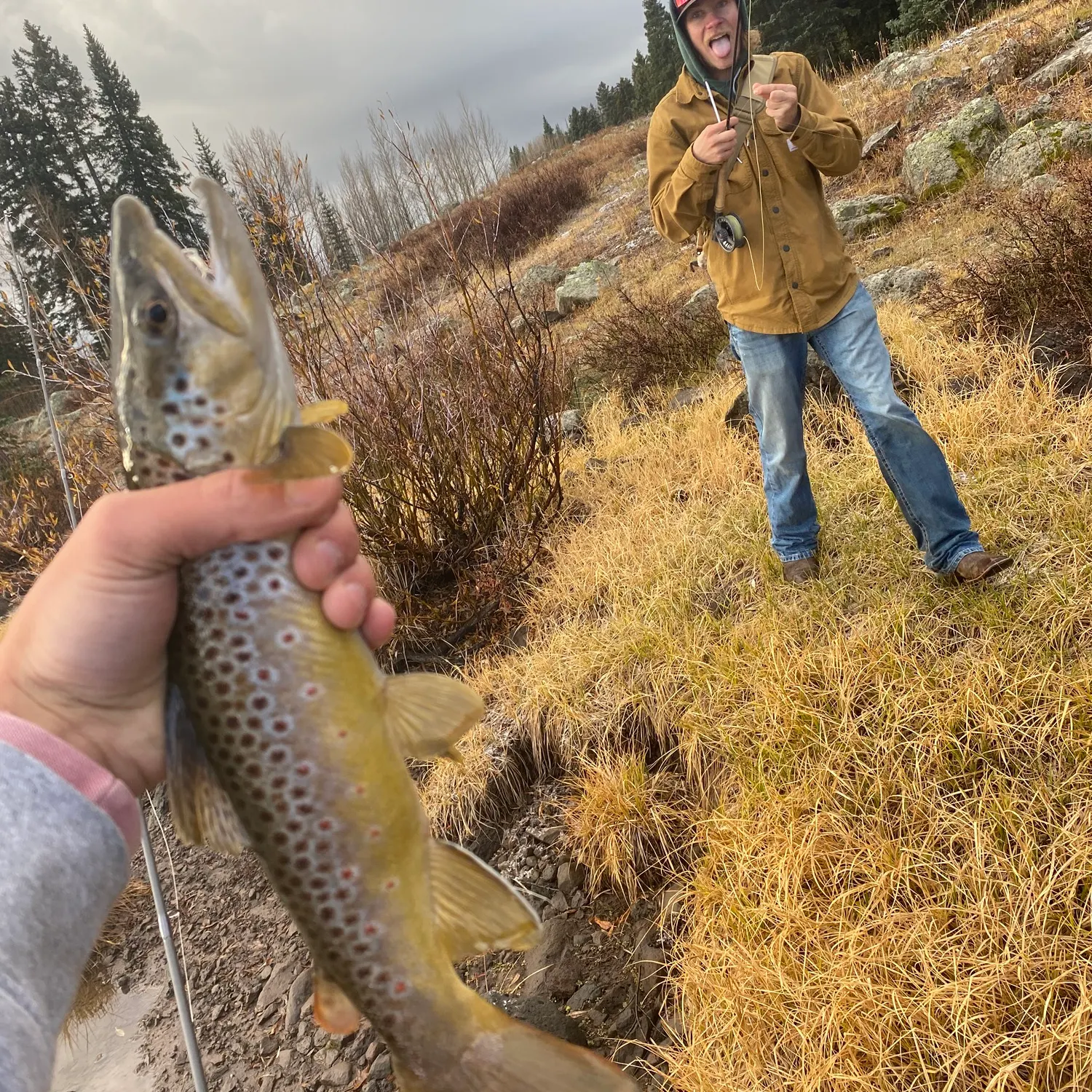catch