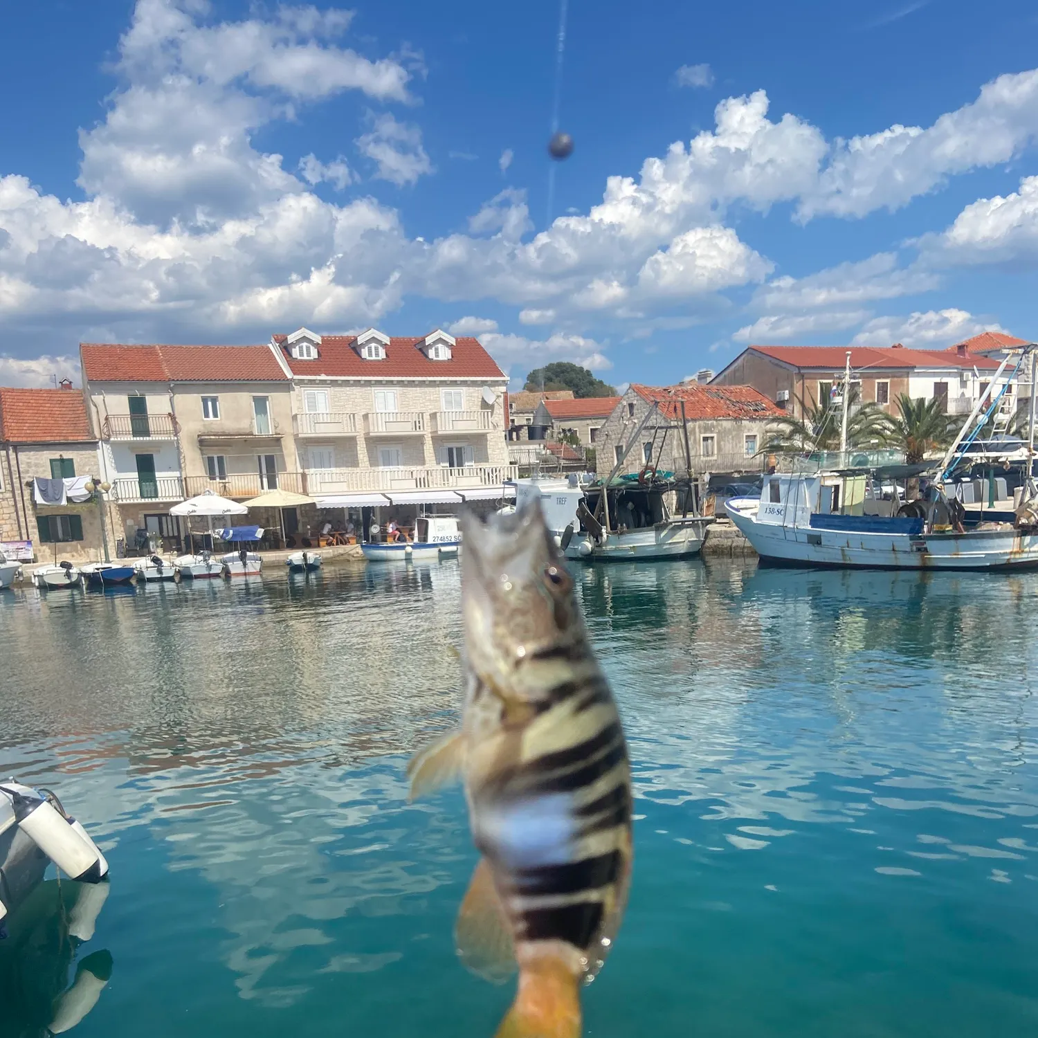 Fish caught on Fishbrain