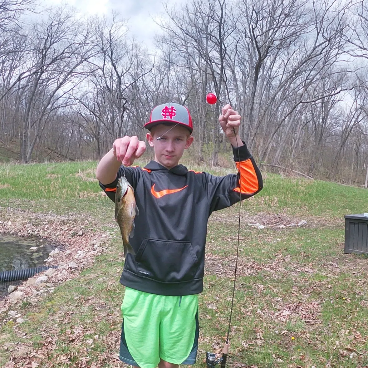 The most recent Bluegill x longear sunfish catches on Fishbrain