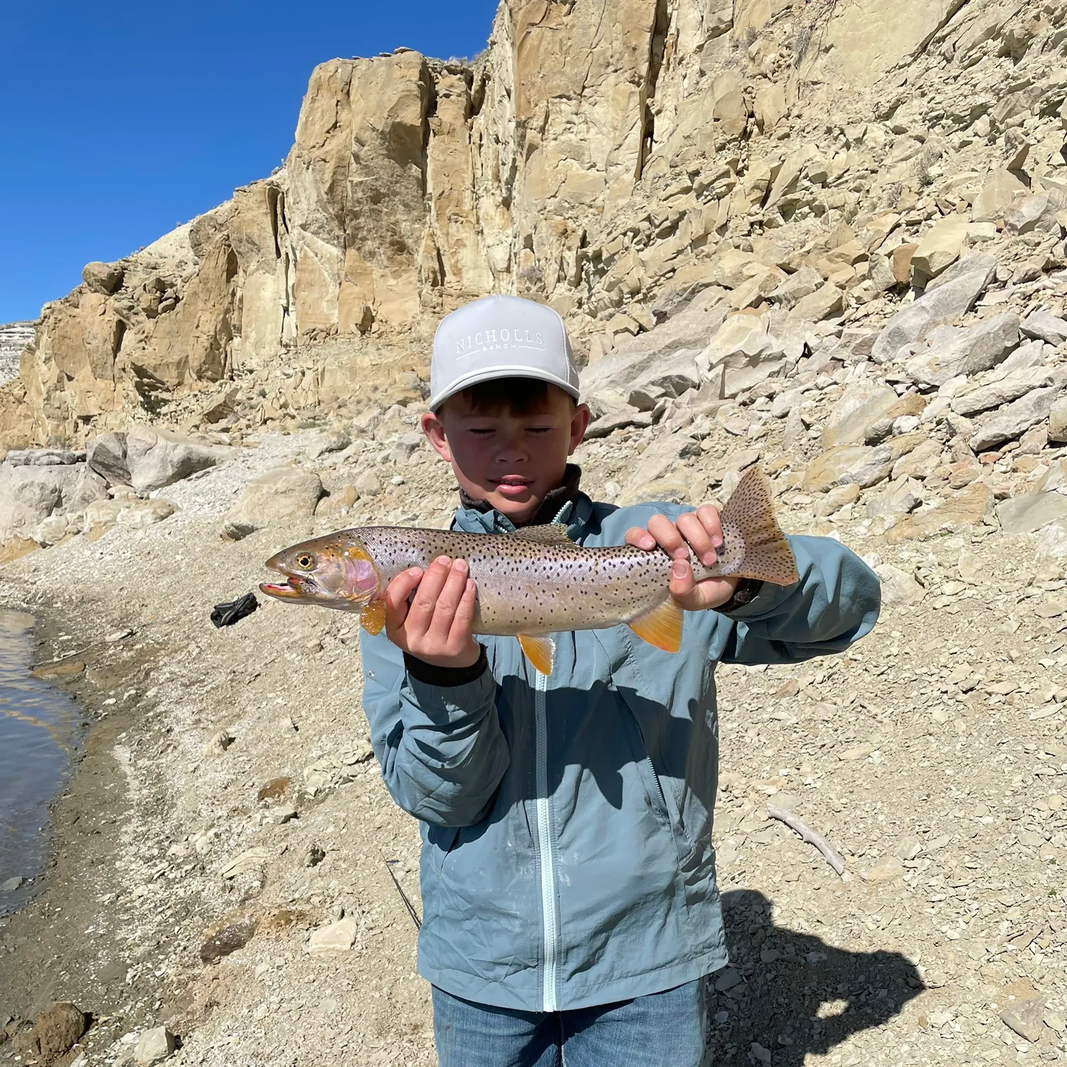 The most recent Cutthroat trout catches on Fishbrain