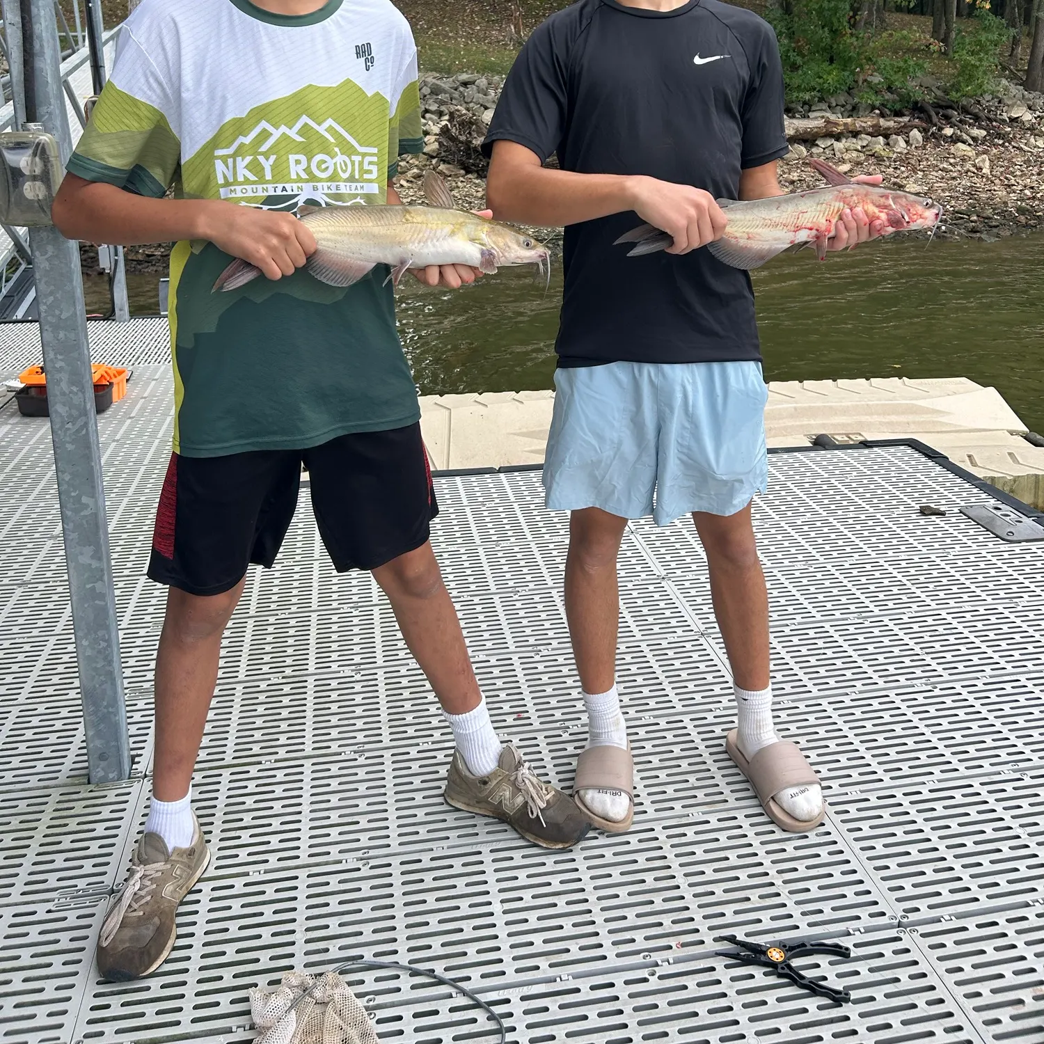 Channel catfish caught on Fishbrain