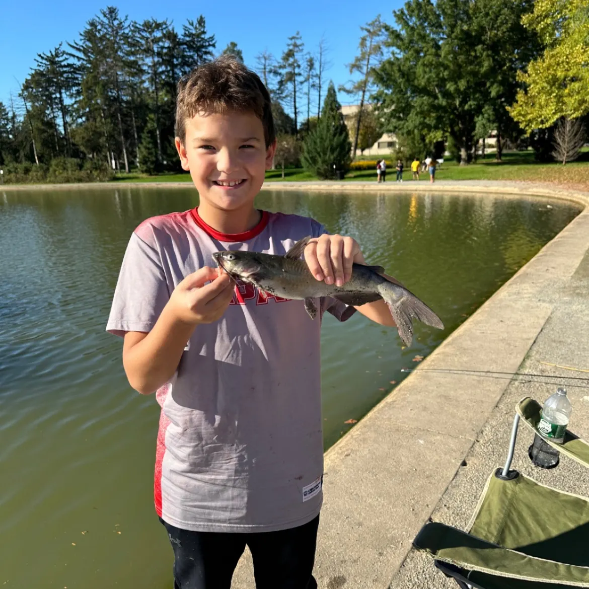 Channel catfish caught on Fishbrain