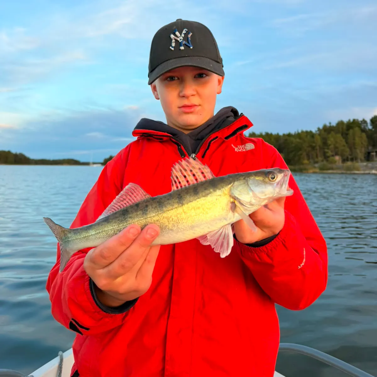 Zander caught on Fishbrain