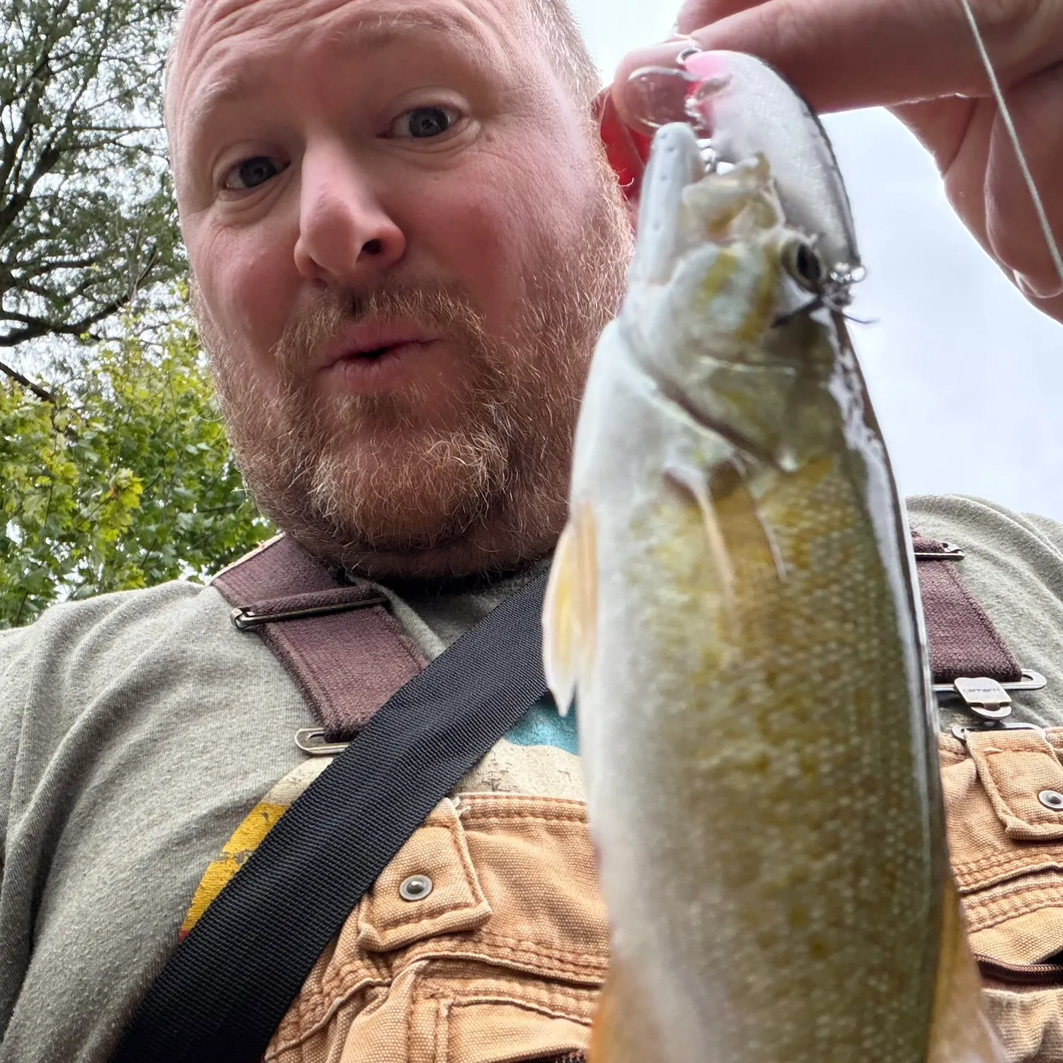 Smallmouth bass caught on Fishbrain