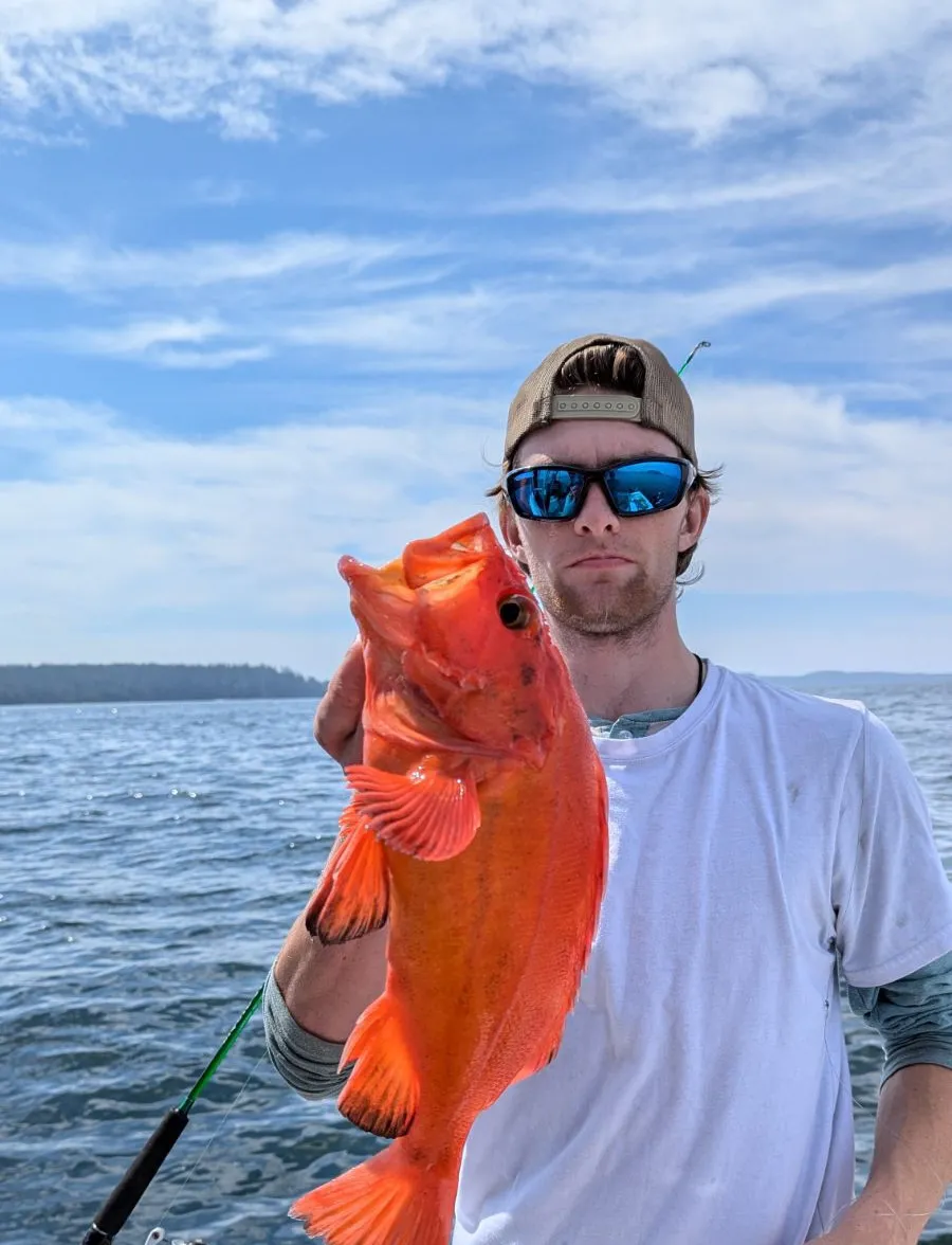 Yelloweye rockfish