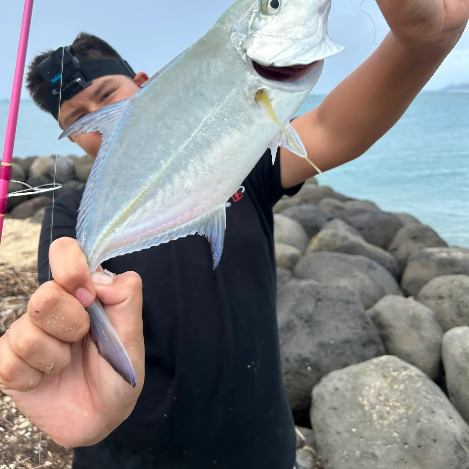 The most recent Bluefin trevally catches on Fishbrain