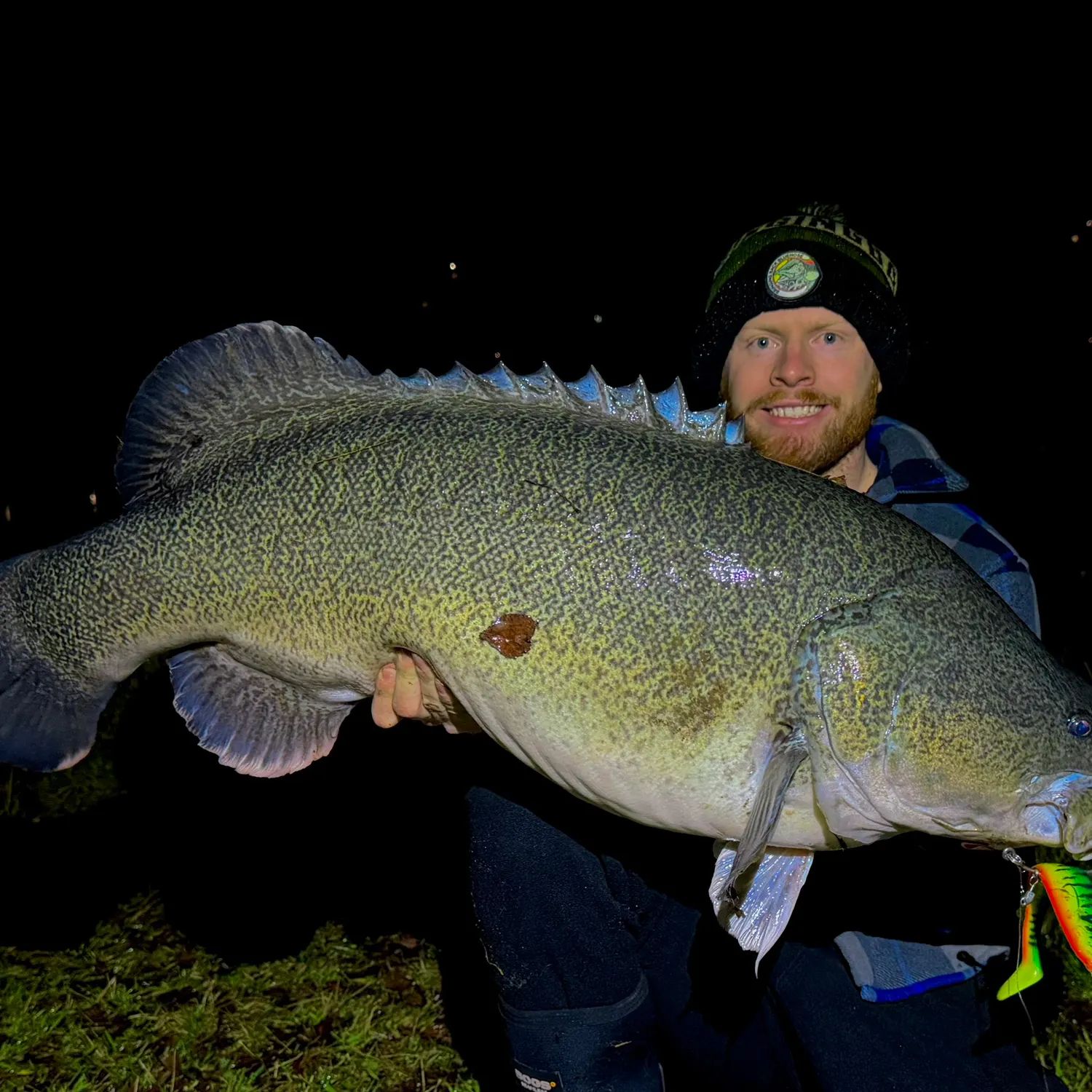 The most recent Murray cod catches on Fishbrain