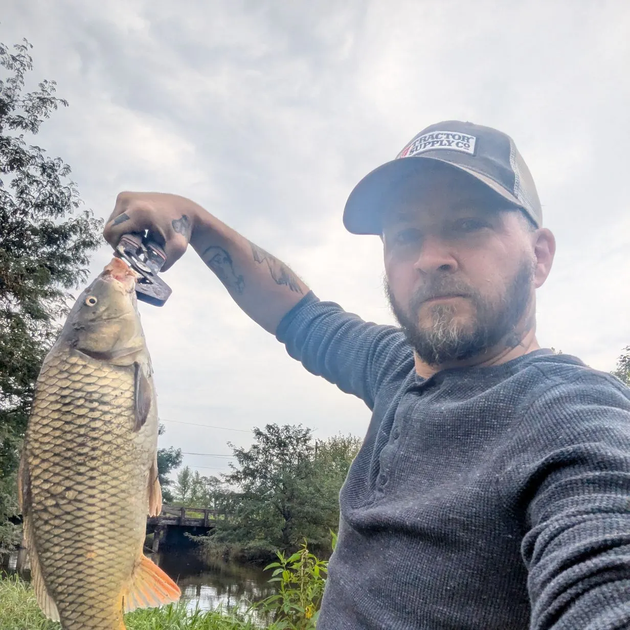 Common carp caught on Fishbrain