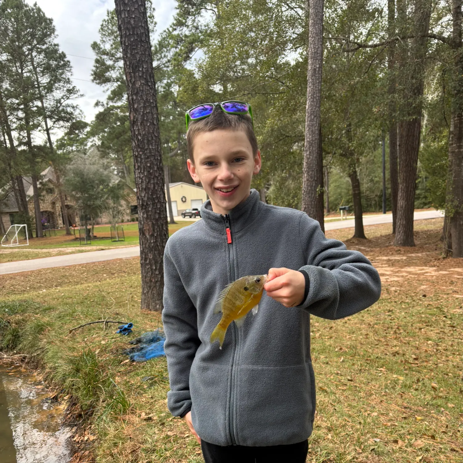 The most recent Greengill hybrid catches on Fishbrain