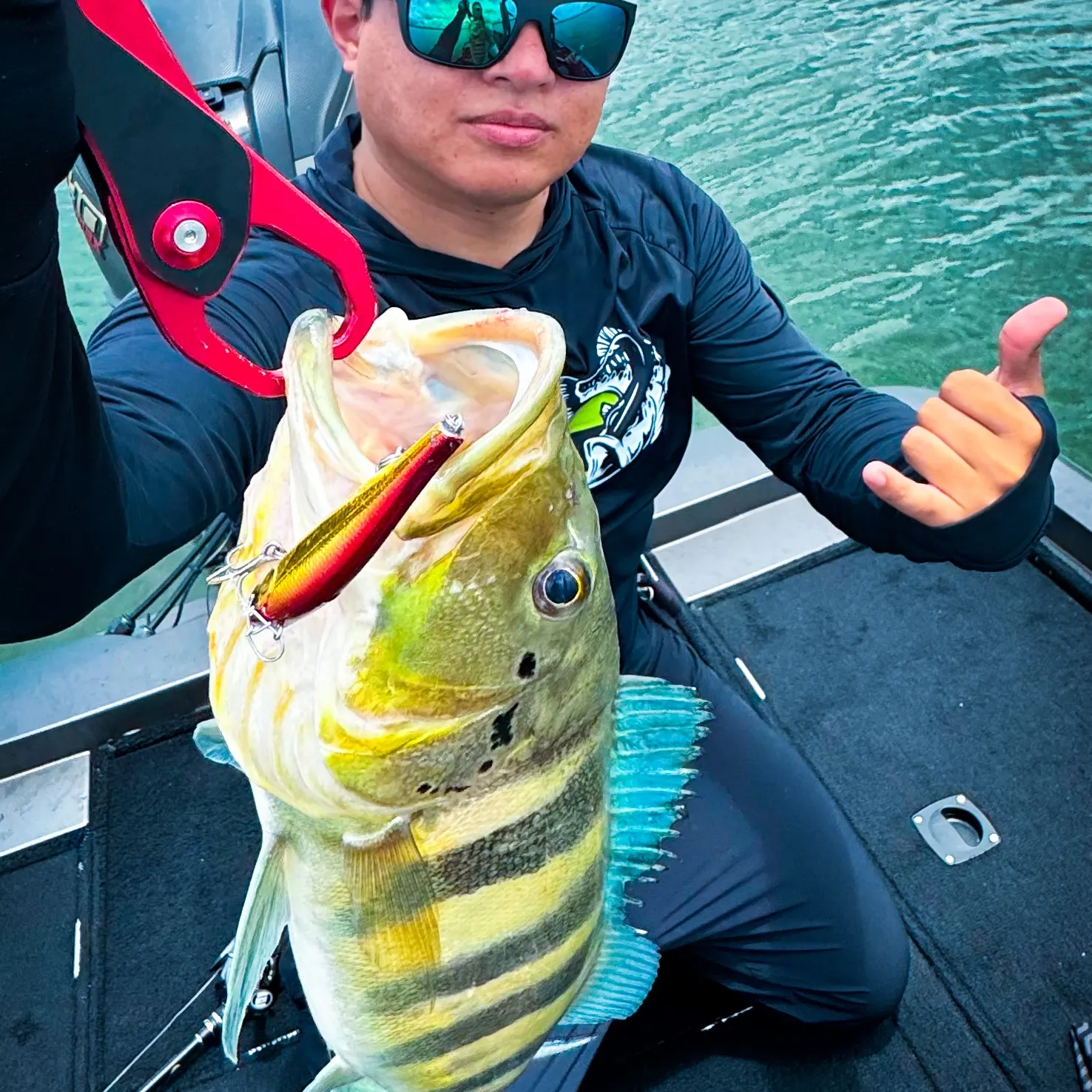 The most recent Blue peacock bass catches on Fishbrain