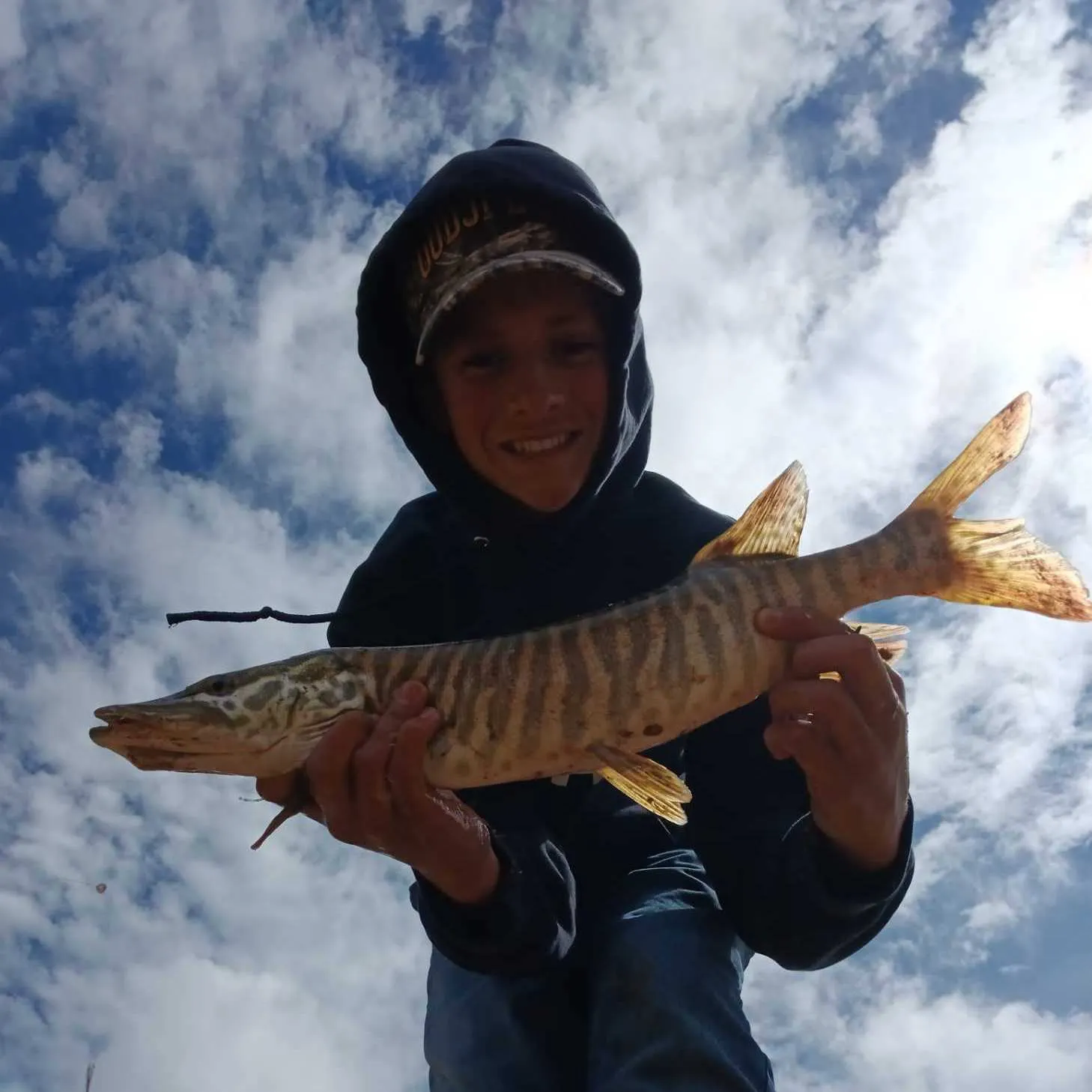 Tiger muskie caught on Fishbrain