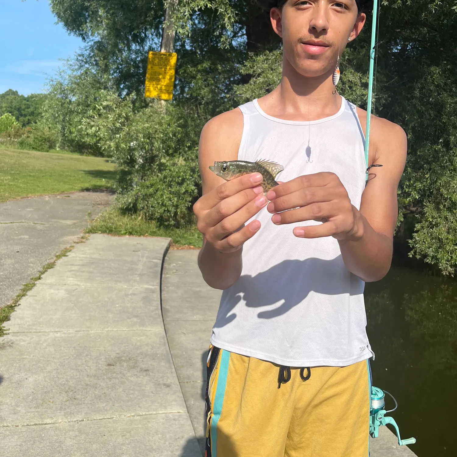 Bluegill caught on Fishbrain