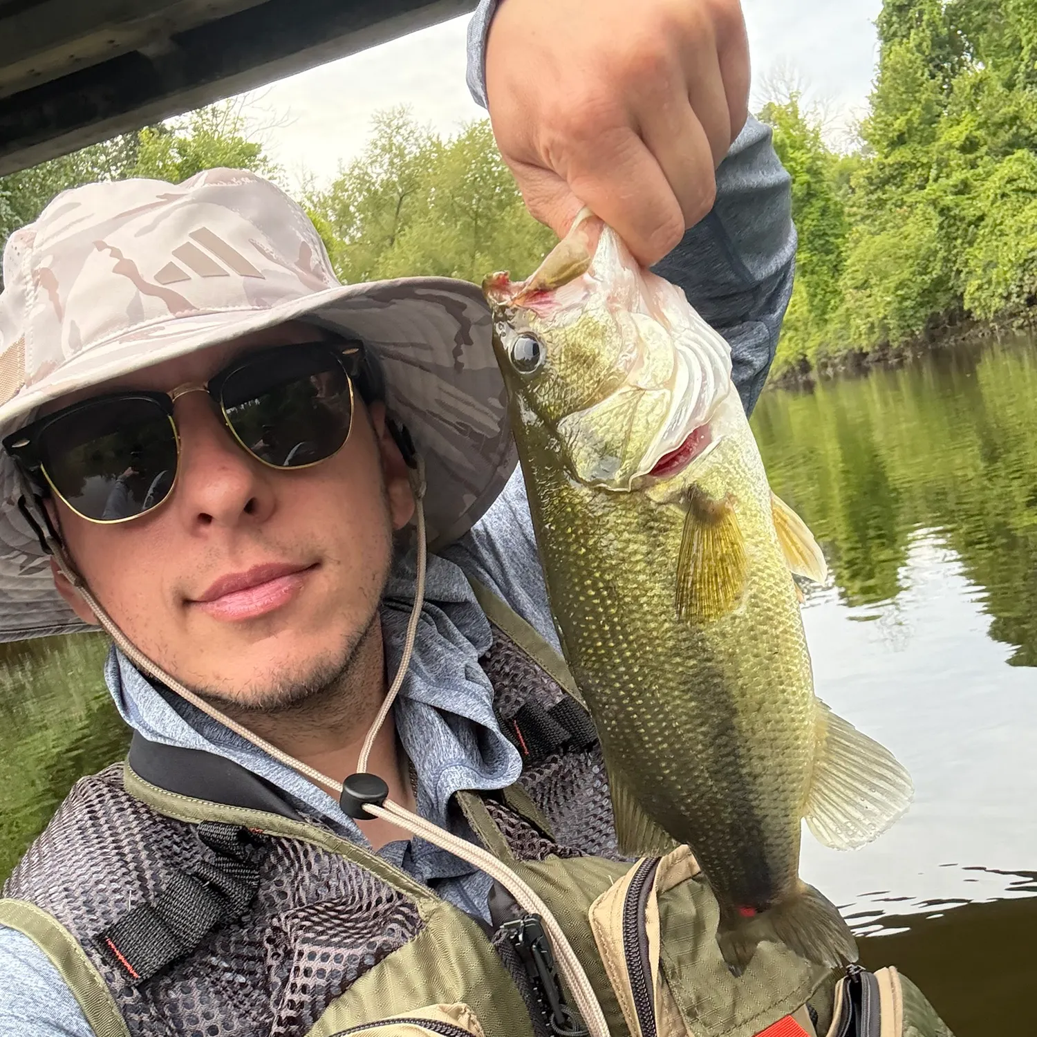 Largemouth bass caught on Fishbrain